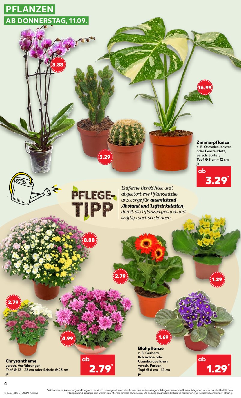 kaufland - Kaufland-Prospekt gültig vom 11.09. bis 17.09. - page: 4