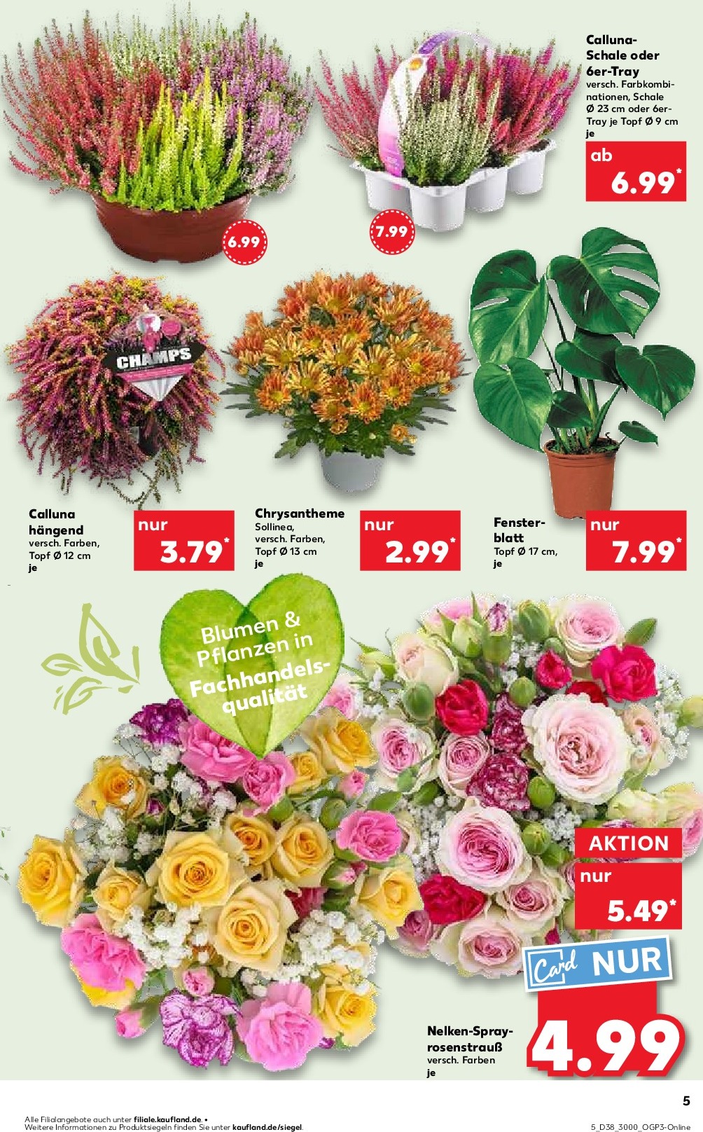 kaufland - Kaufland-Prospekt gültig vom 18.09. bis 24.09. - page: 5