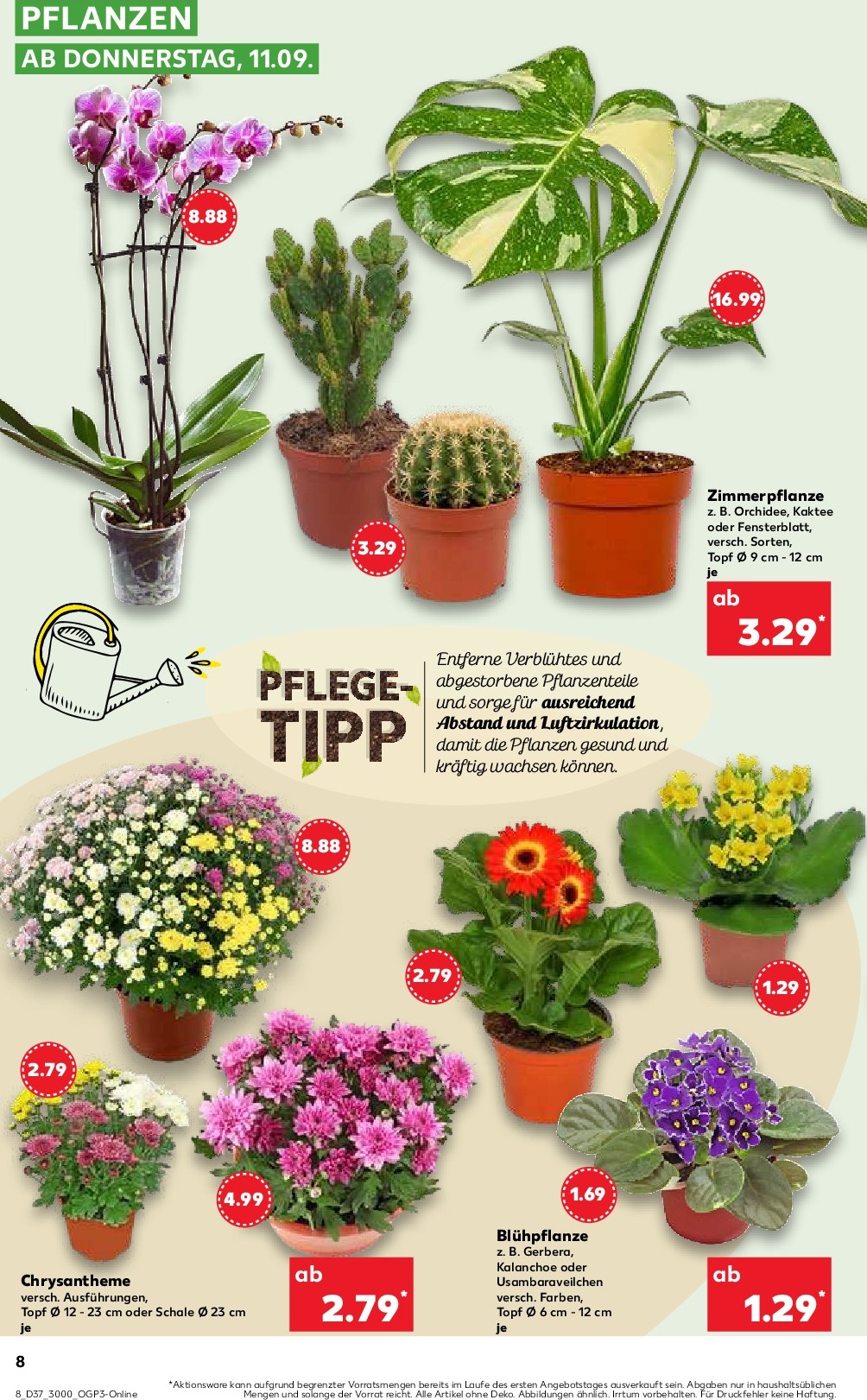 kaufland - Kaufland-Prospekt gültig vom 15.09. bis 17.09. - page: 8