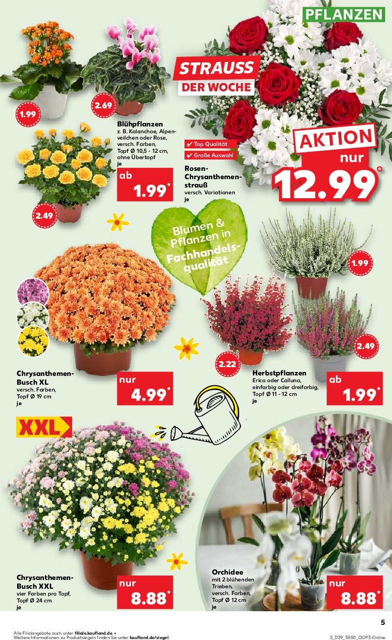 kaufland - Kaufland-Prospekt gültig vom 25.09. bis 01.10. - page: 5