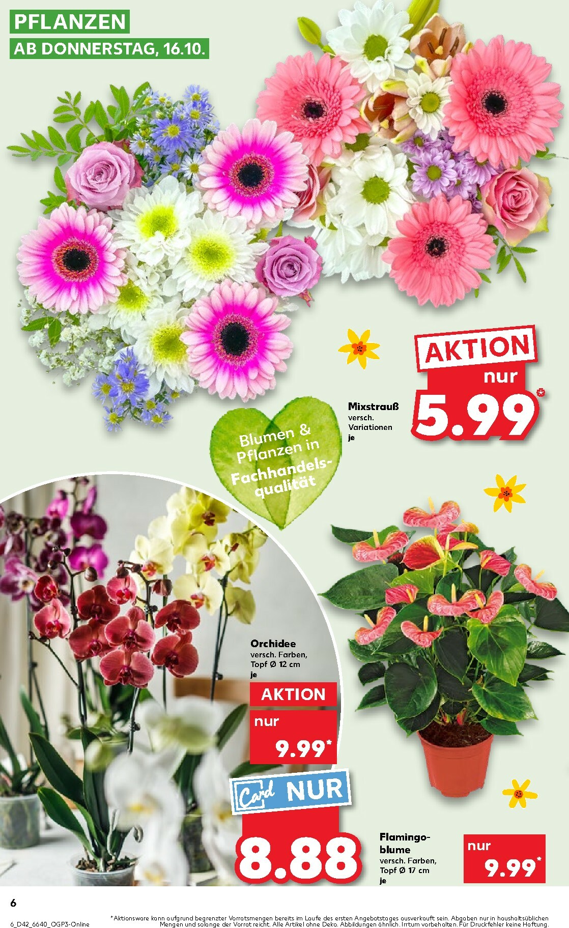 kaufland - Kaufland-Prospekt gültig vom 16.10. bis 22.10. - page: 6 kaufland - Kaufland-Prospekt gültig vom 16.10. bis 22.10. - page: 6