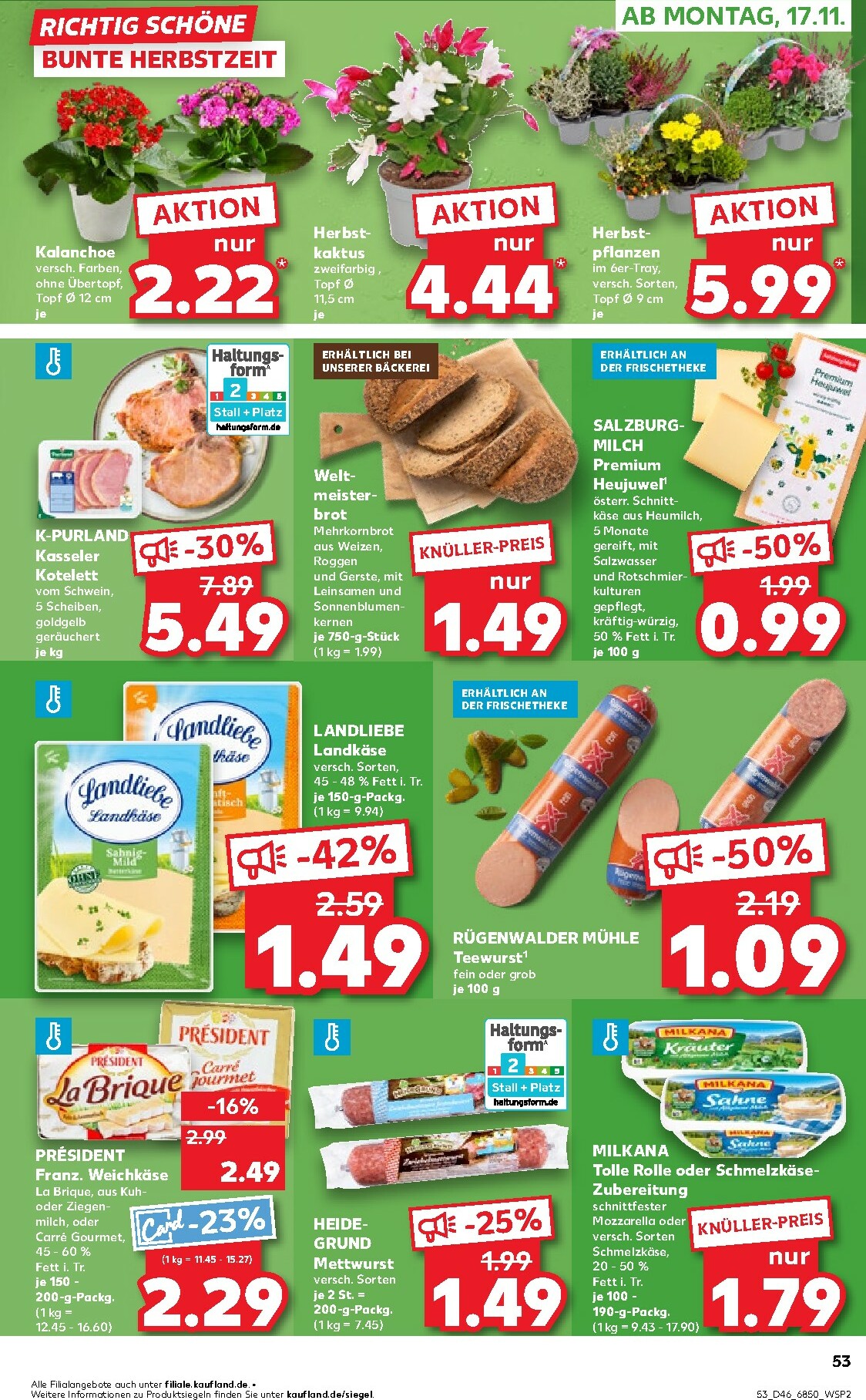 kaufland - Kaufland-Prospekt gültig vom 13.11. bis 19.11. - page: 53