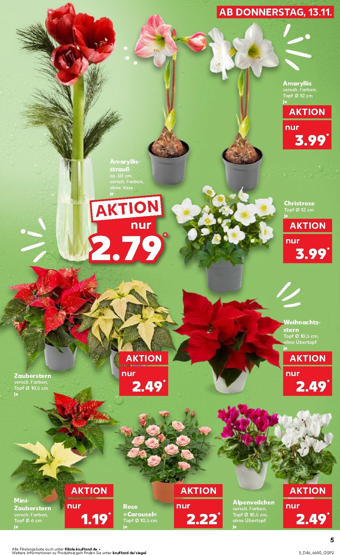 kaufland - Kaufland-Prospekt gültig vom 13.11. bis 19.11. - page: 5