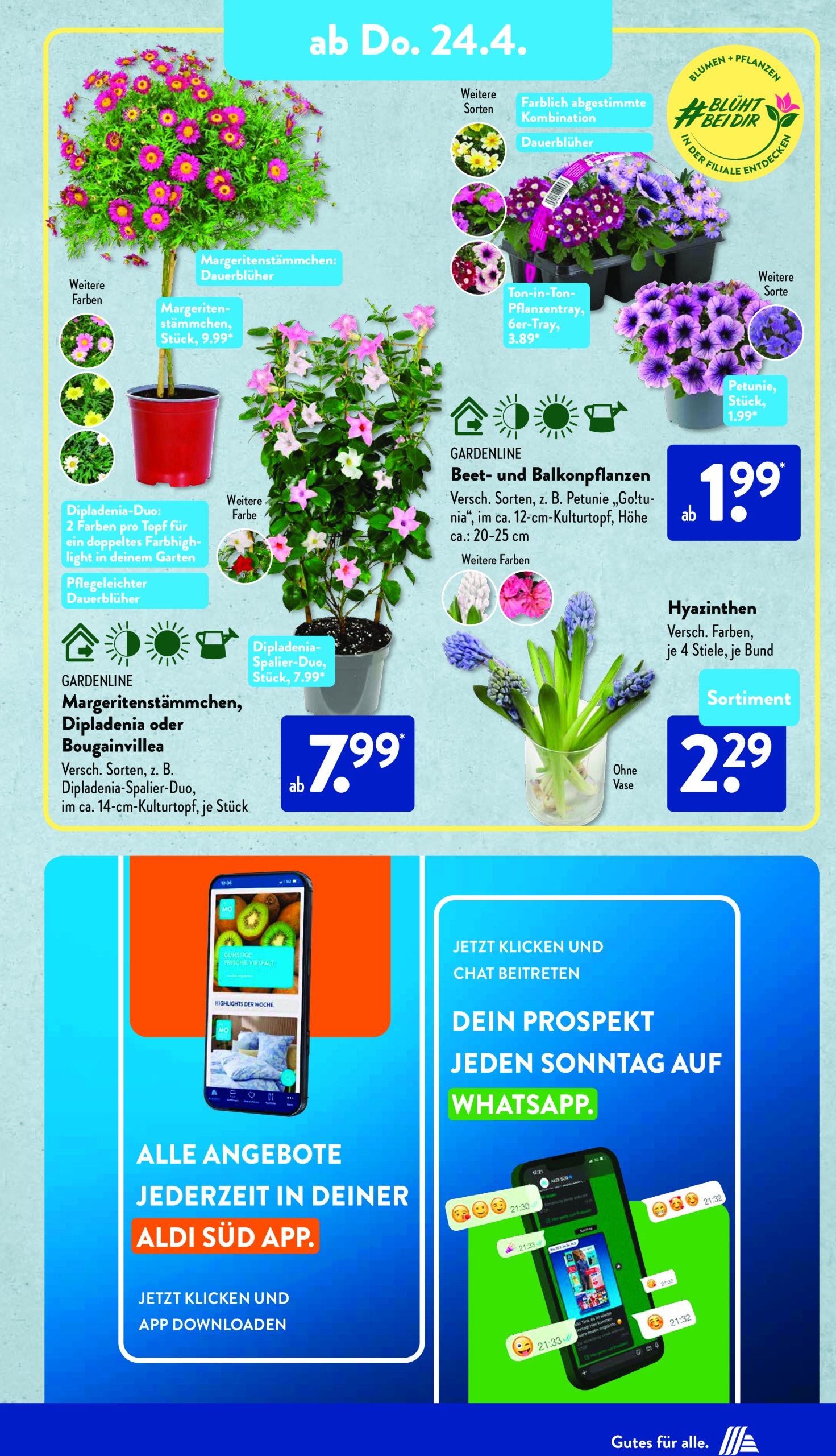 aldi - ALDI SÜD-Prospekt gültig von 22.04. bis 26.04. - page: 21 aldi - ALDI SÜD-Prospekt gültig von 22.04. bis 26.04. - page: 21