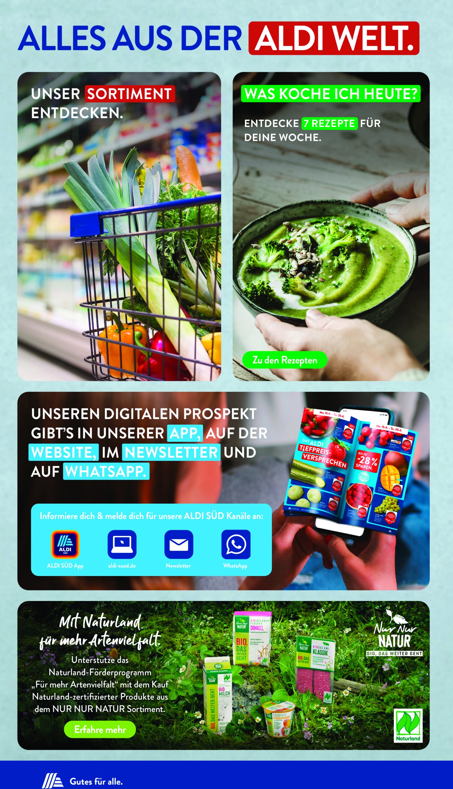aldi - ALDI SÜD-Prospekt gültig von 12.05. bis 17.05. - page: 32