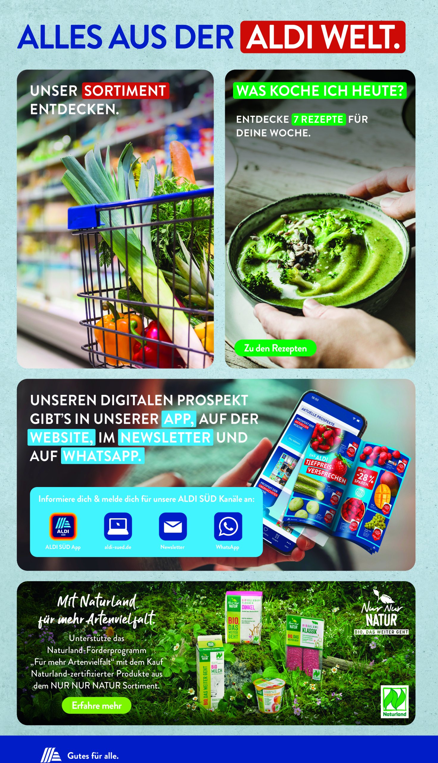 aldi - ALDI SÜD-Prospekt gültig von 10.06. bis 14.06. - page: 35