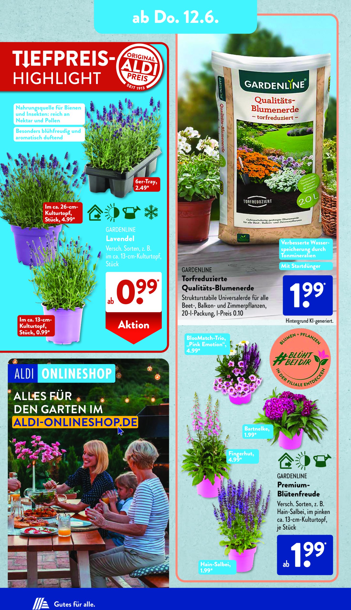 aldi - ALDI SÜD-Prospekt gültig von 10.06. bis 14.06. - page: 10