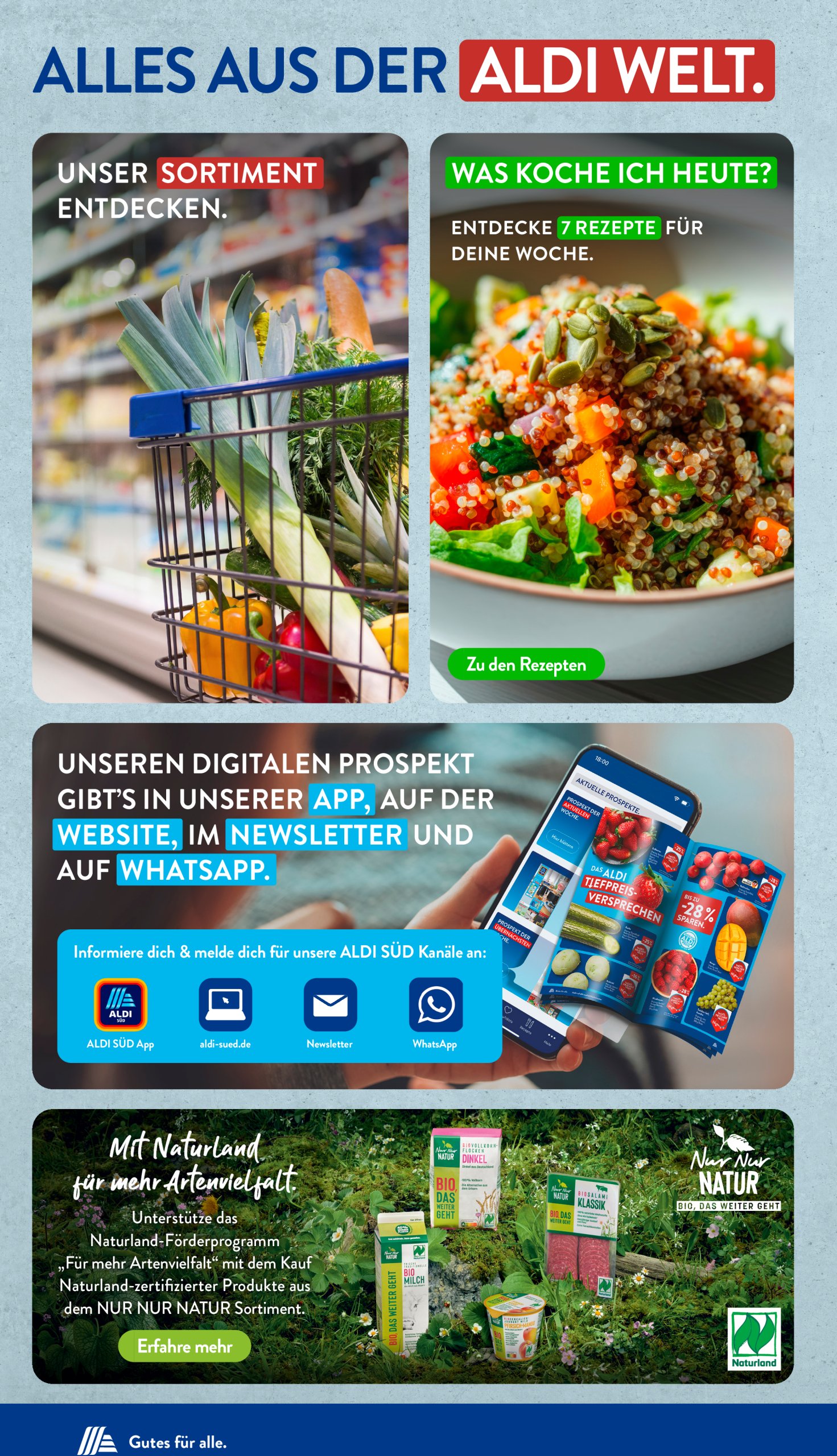 aldi - ALDI SÜD-Prospekt gültig vom 30.06. bis 05.07. - page: 36