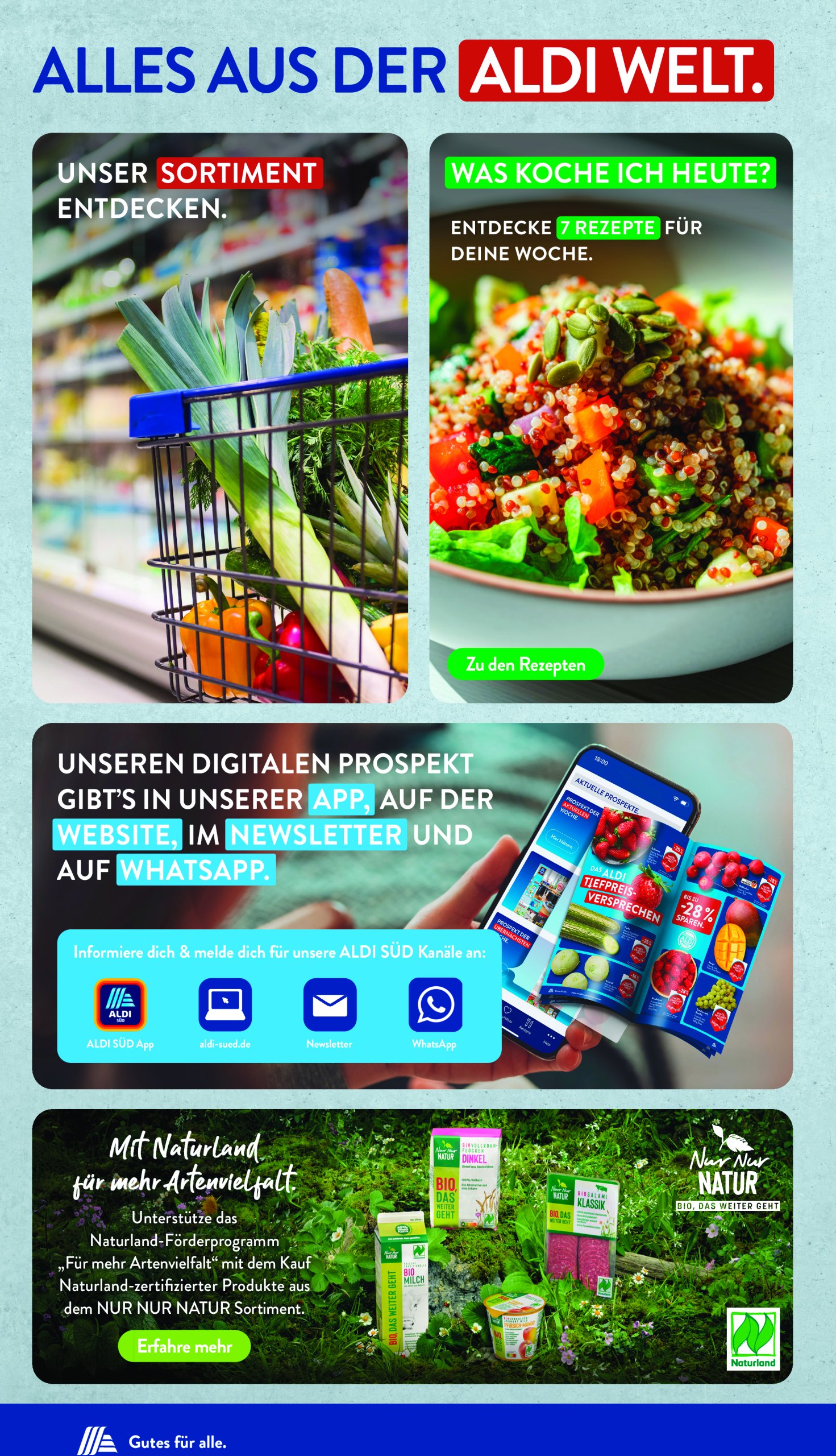 aldi - ALDI SÜD-Prospekt gültig vom 04.08. bis 09.08. - page: 31