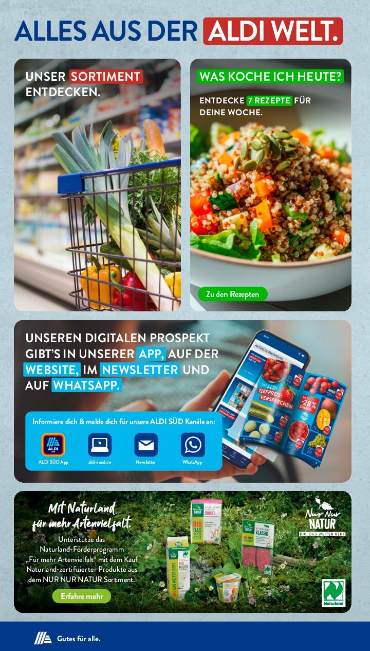 aldi - ALDI SÜD-Prospekt gültig vom 11.08. bis 16.08. - page: 33