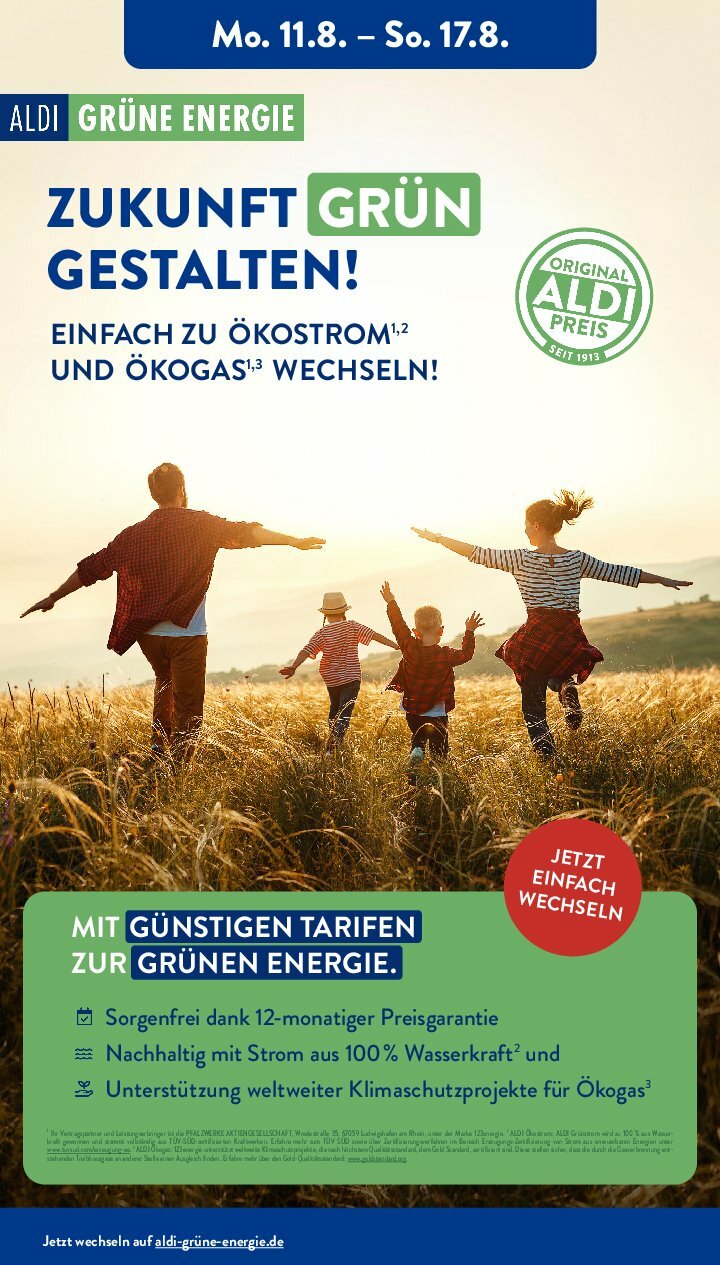 aldi - ALDI SÜD-Prospekt gültig vom 11.08. bis 16.08. - page: 31