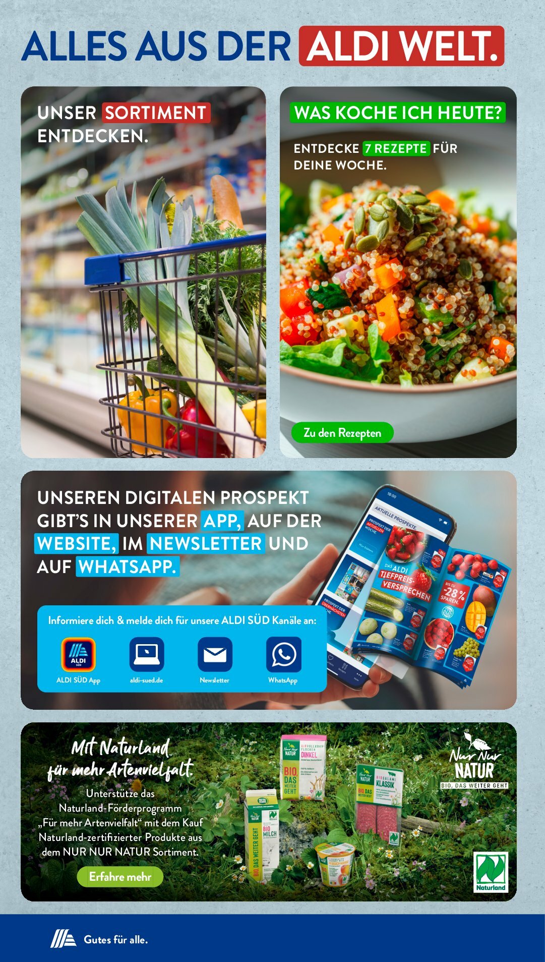 aldi - ALDI SÜD-Prospekt gültig vom 01.09. bis 06.09. - page: 33