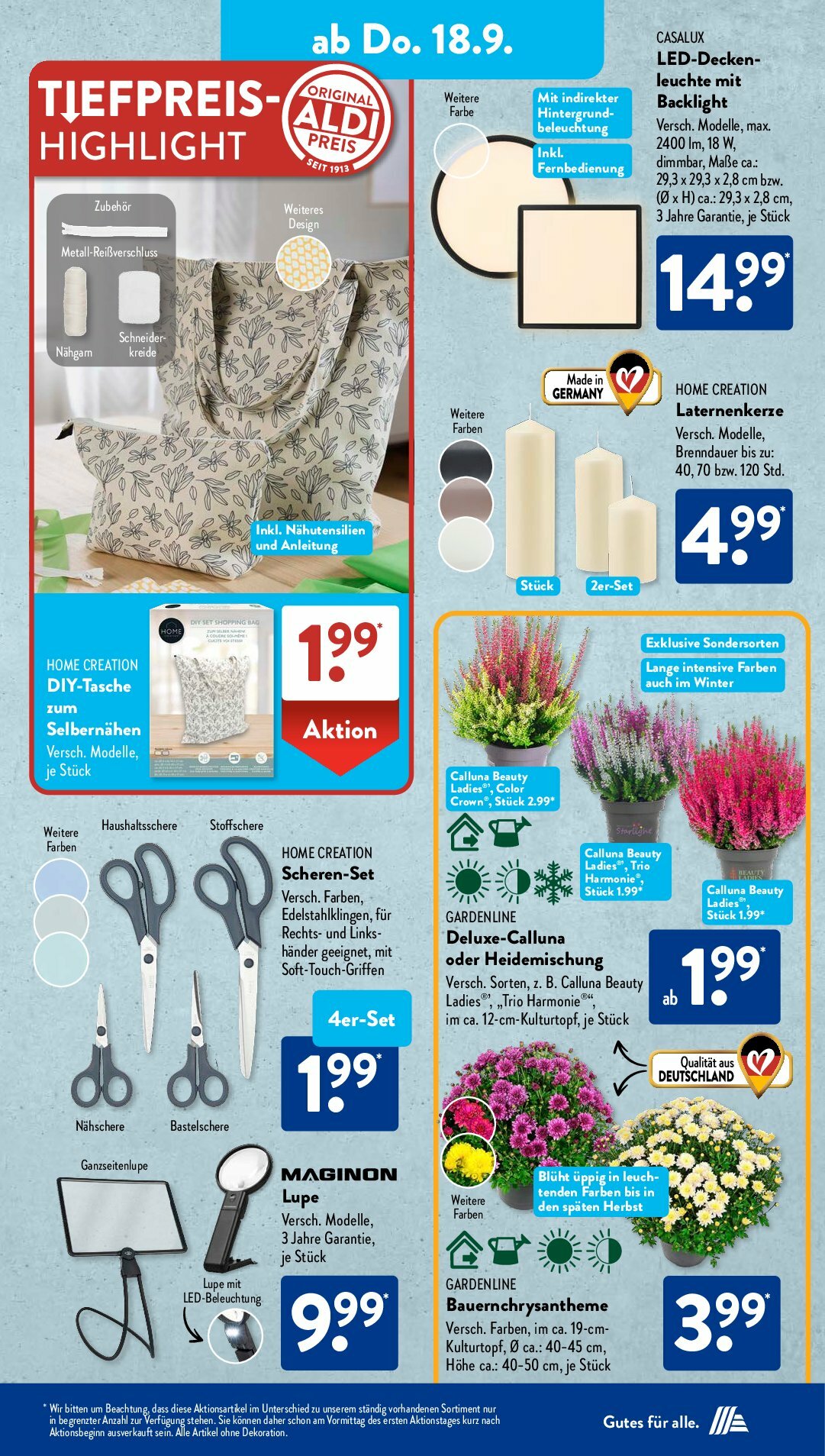 aldi - ALDI SÜD-Prospekt gültig vom 15.09. bis 20.09. - page: 13