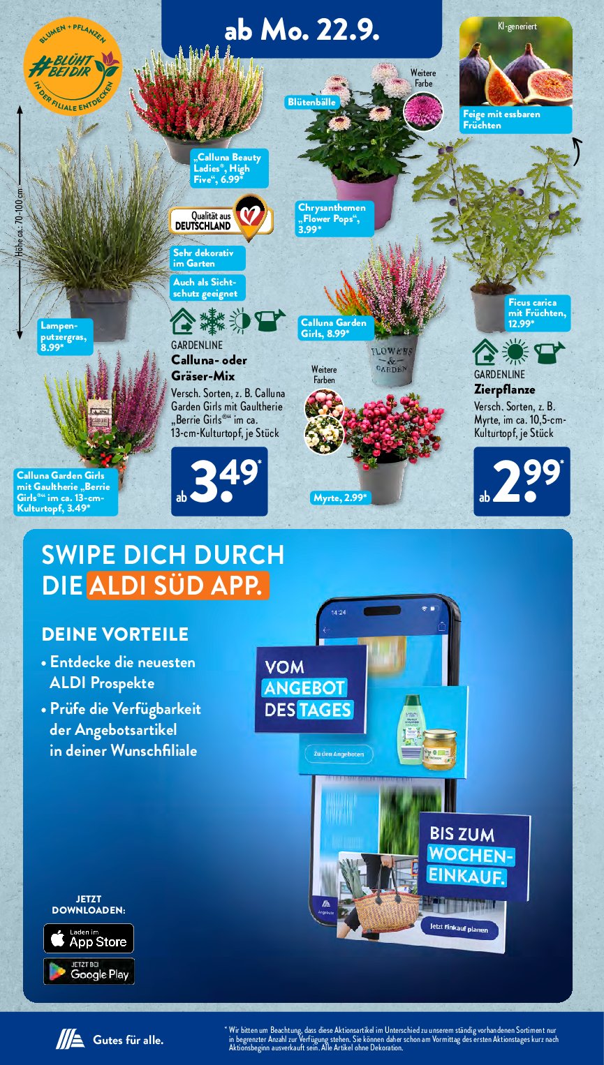 aldi - ALDI SÜD-Prospekt gültig vom 22.09. bis 27.09. - page: 7
