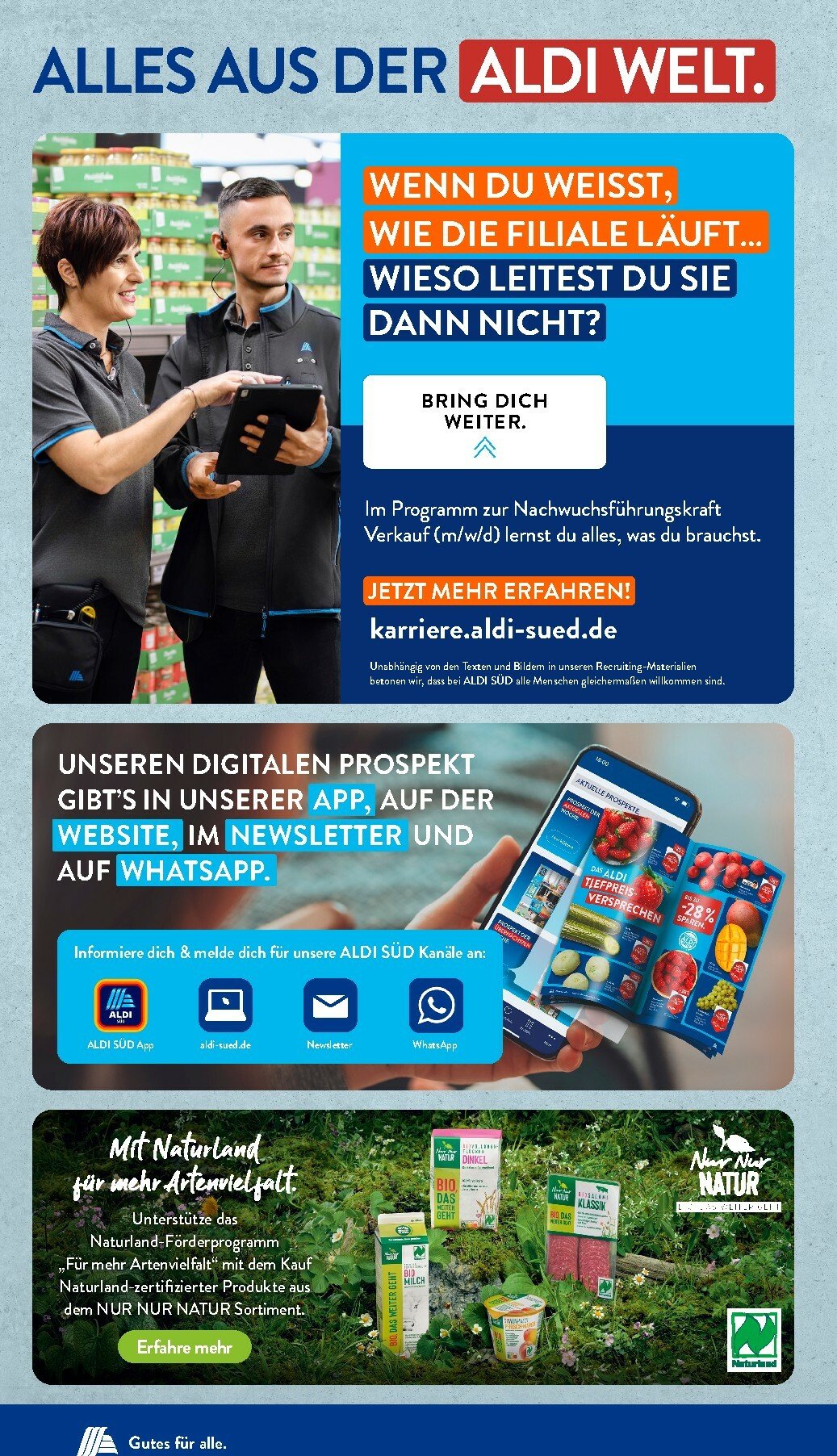 aldi - ALDI SÜD-Prospekt gültig vom 27.10. bis 01.11. - page: 31