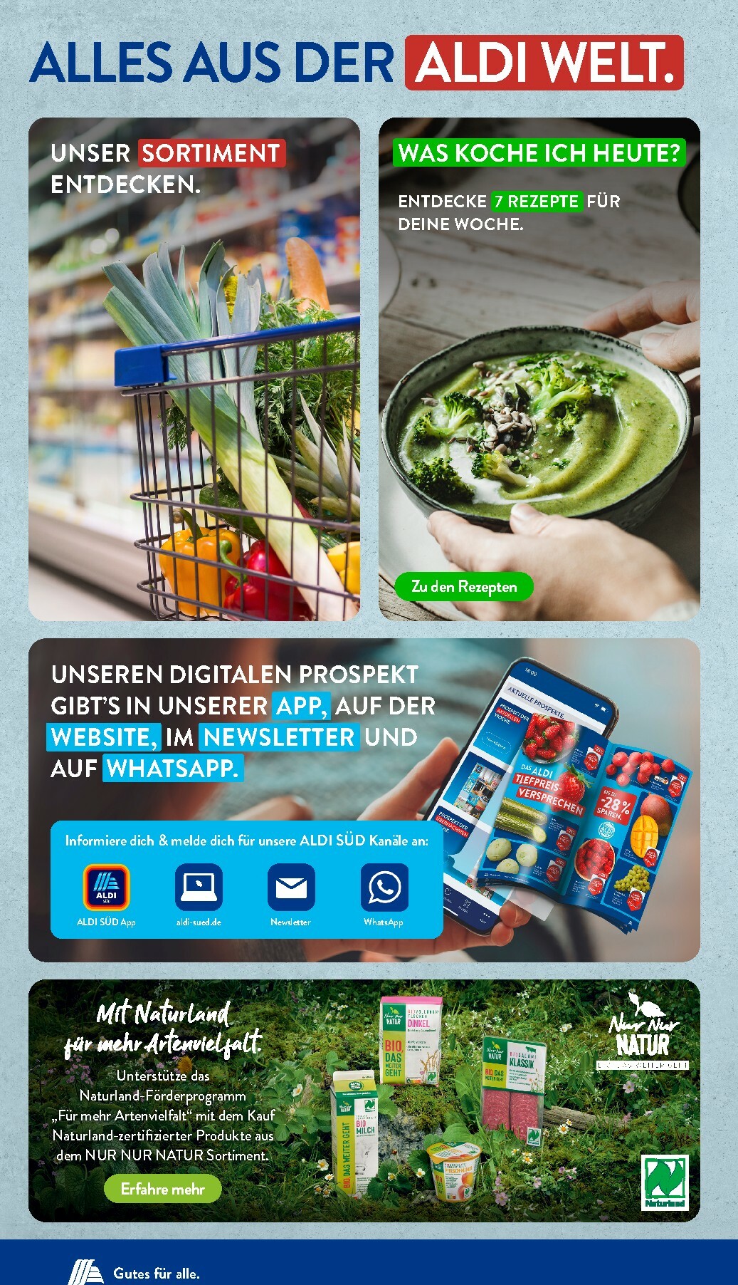 aldi - ALDI SÜD-Prospekt gültig vom 01.12. bis 06.12. - page: 34