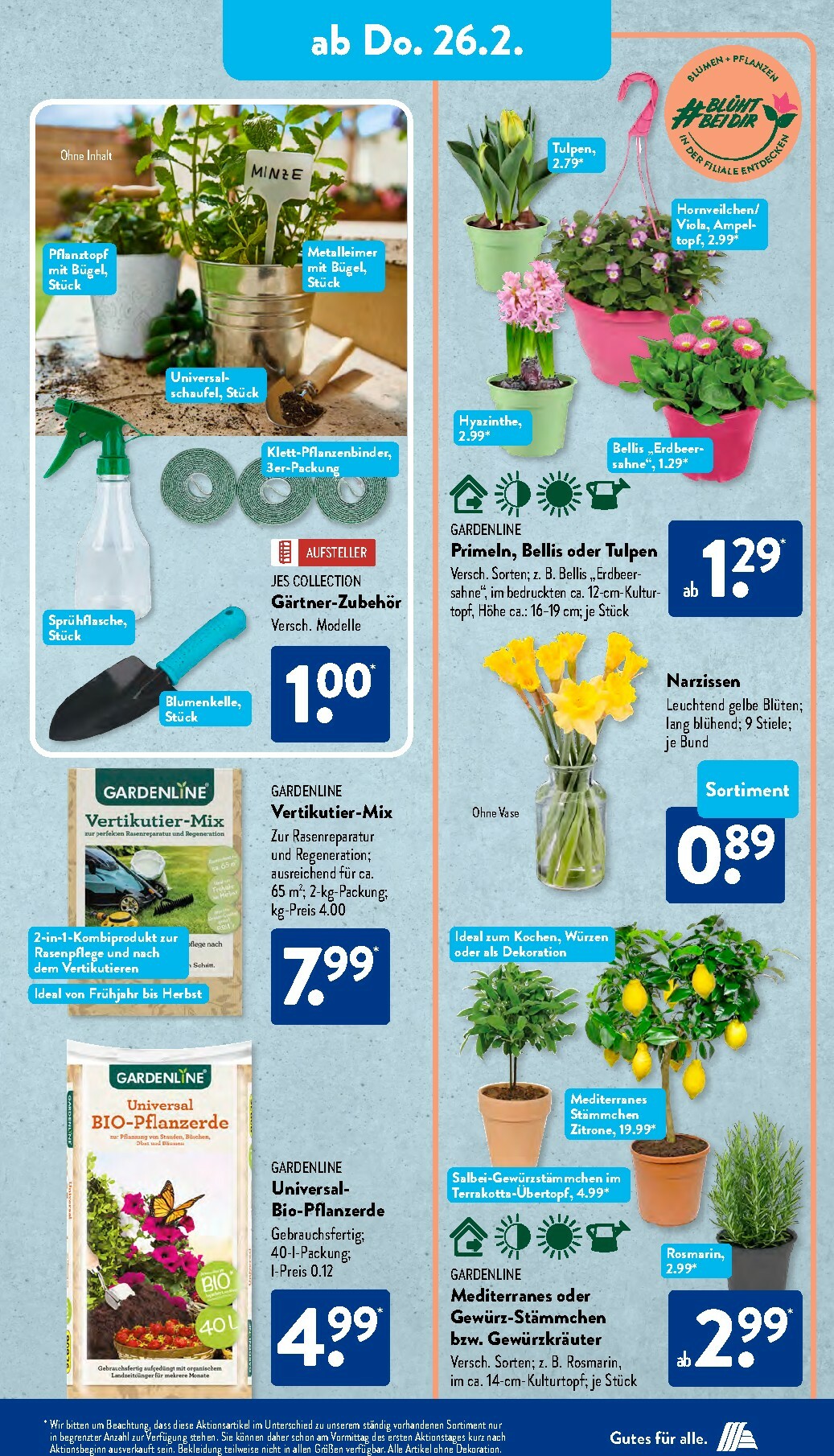 aldi - ALDI SÜD-Prospekt gültig vom 23.02.2026 bis 28.02.2026 - page: 10