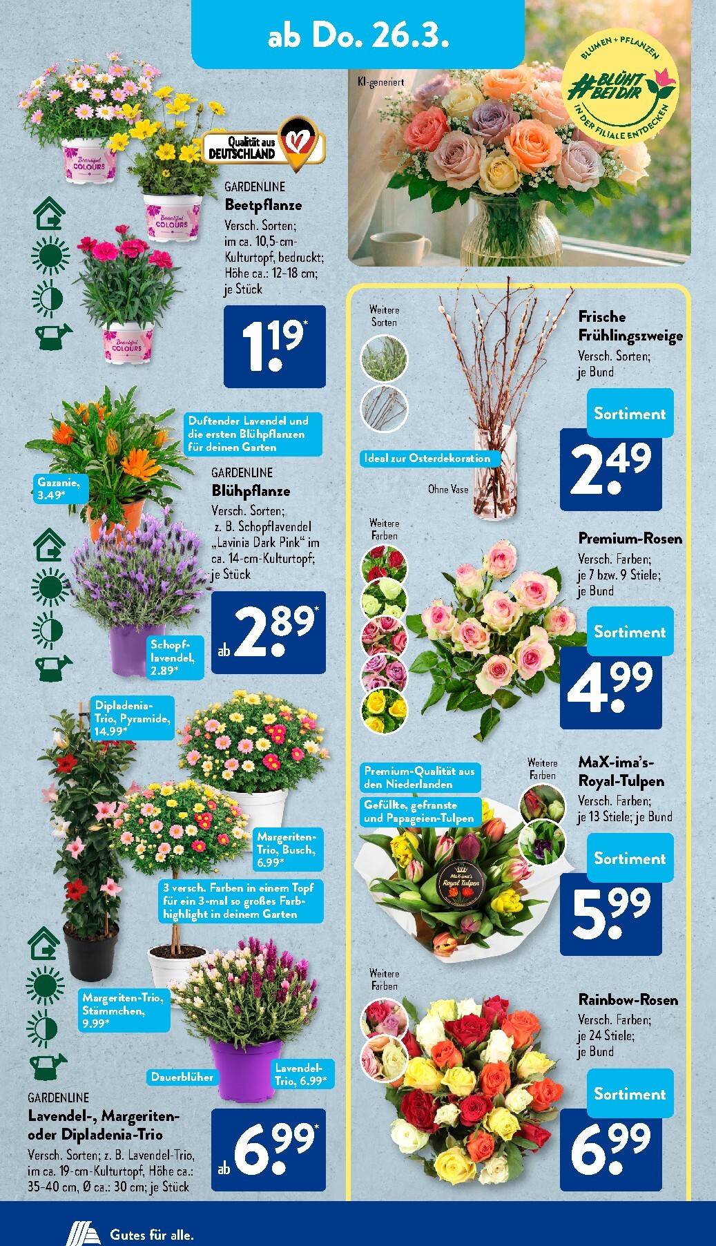 aldi - ALDI SÜD-Prospekt gültig vom 23.03.2026 bis 28.03.2026 - page: 11