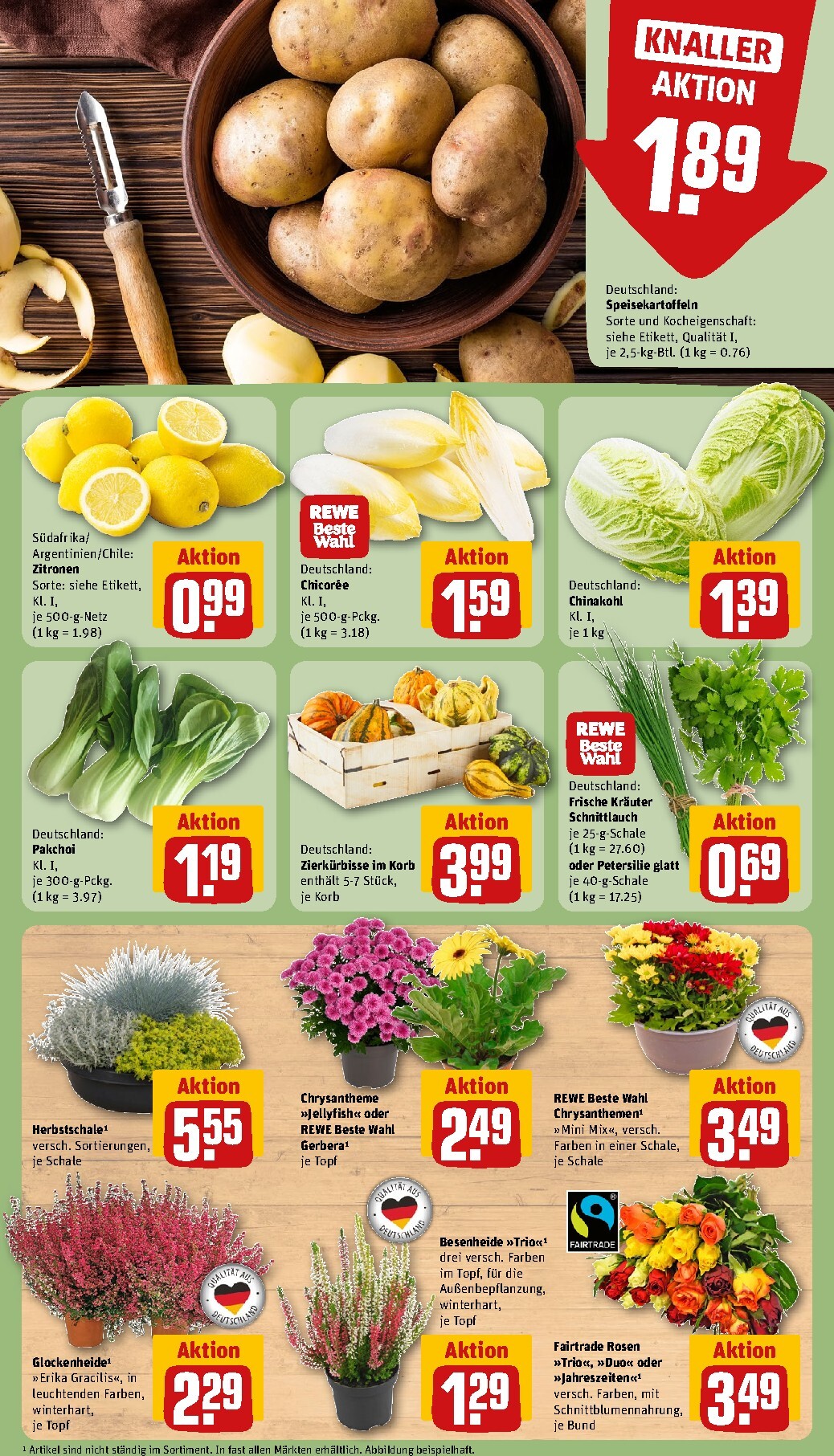 rewe - Rewe Prospekt nächste Woche – von Montag 21.09.2026 bis Sonntag 27.09.2026 - page: 13
