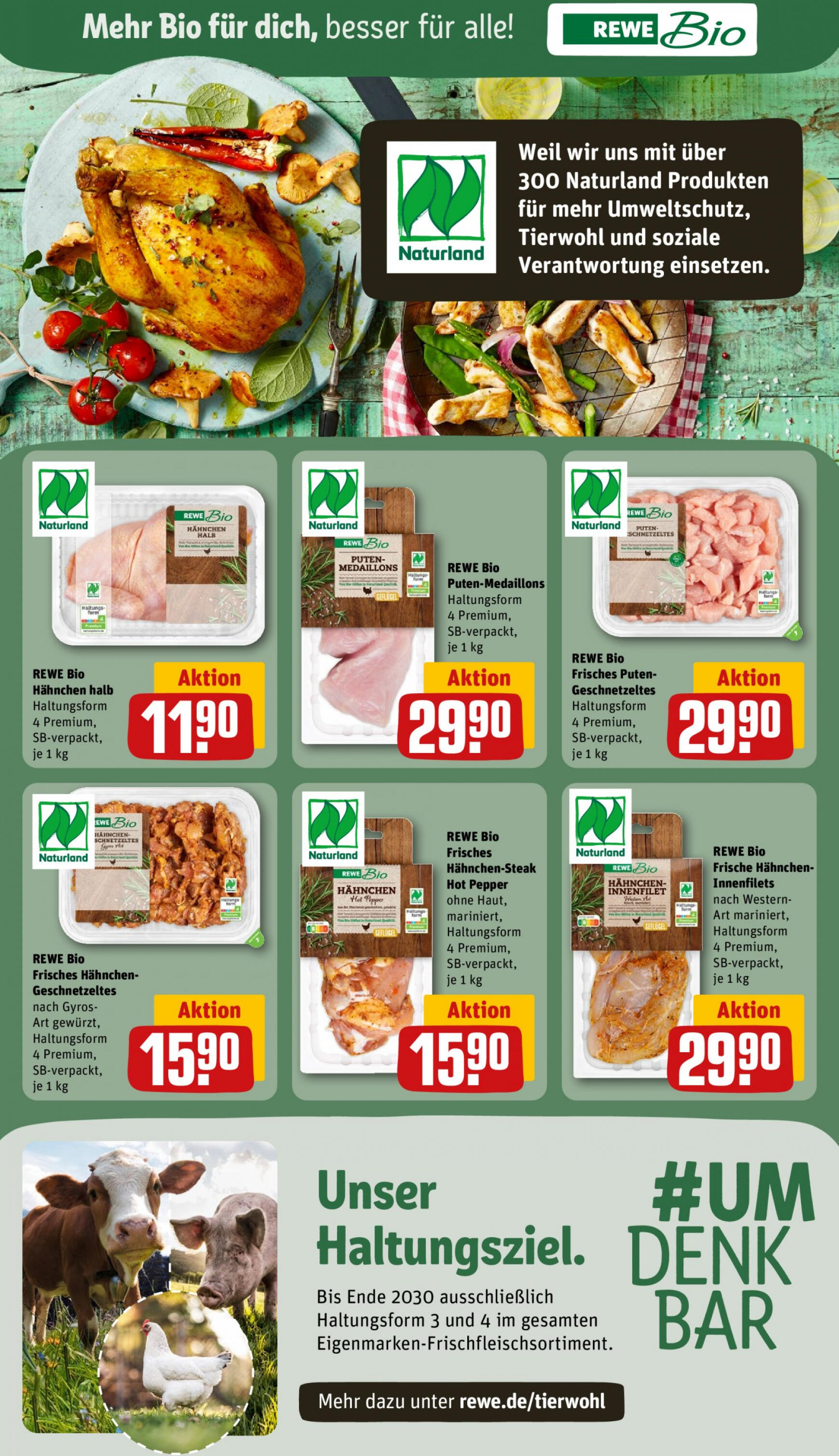 rewe - Flyer Rewe aktuell 01.07. - 06.07. - page: 13