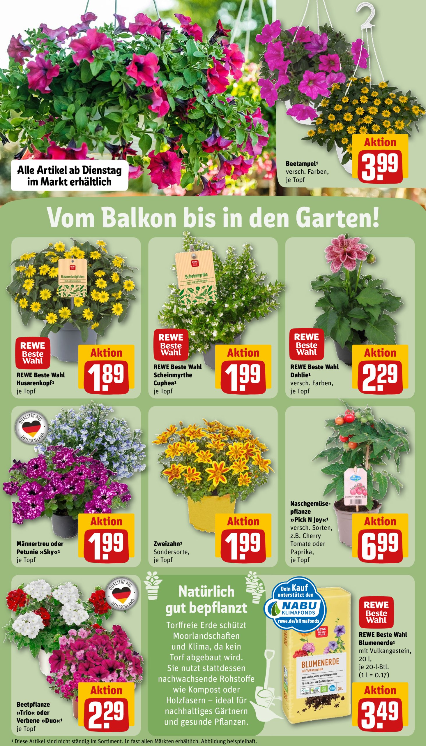 rewe - Rewe-Prospekt gültig von 19.05. bis 24.05. - page: 27