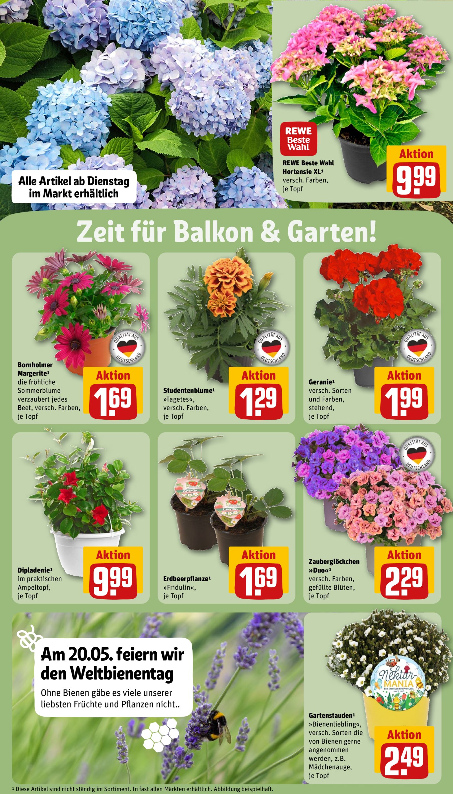 rewe - Rewe-Prospekt gültig von 19.05. bis 24.05. - page: 26