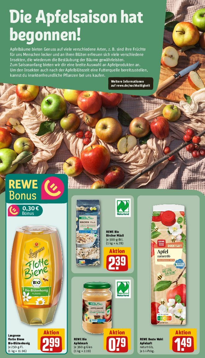 rewe - Rewe-Prospekt gültig vom 11.08. bis 17.08. - page: 24