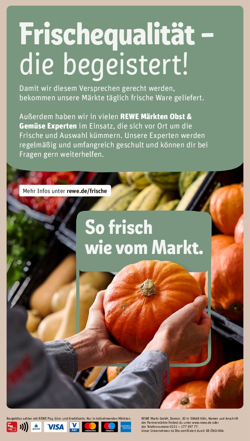 rewe - Rewe-Prospekt gültig vom 08.09. bis 14.09. - page: 24