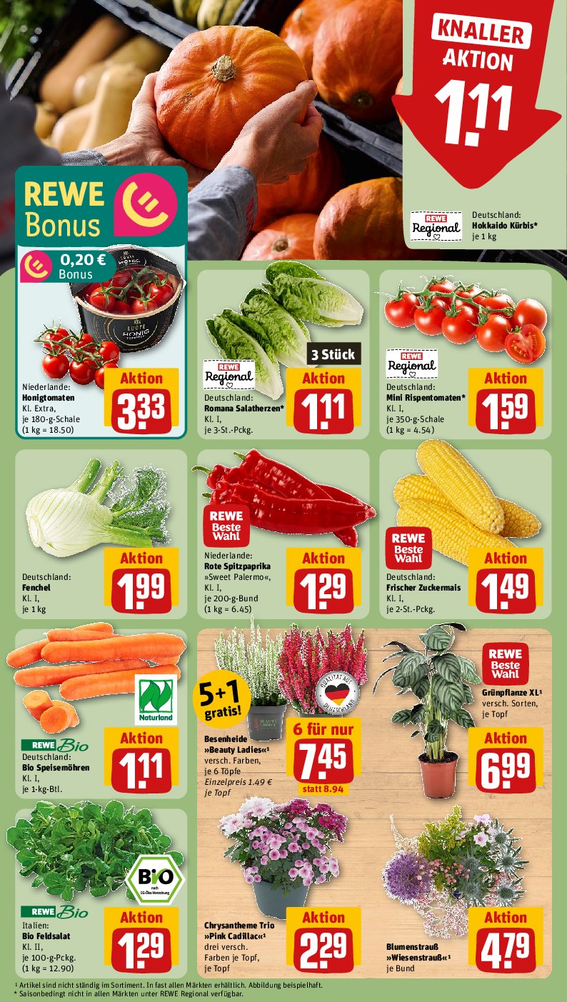 rewe - Rewe-Prospekt gültig vom 08.09. bis 14.09. - page: 7