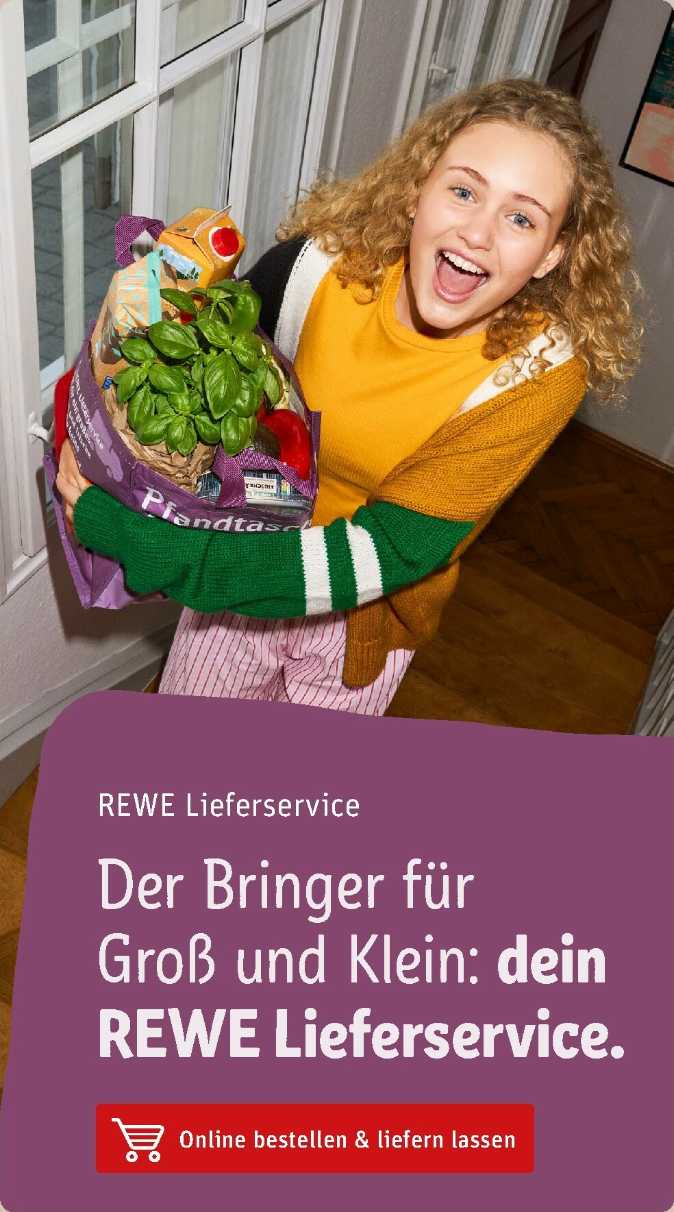 rewe - Rewe-Prospekt gültig vom 03.11. bis 09.11. - page: 24