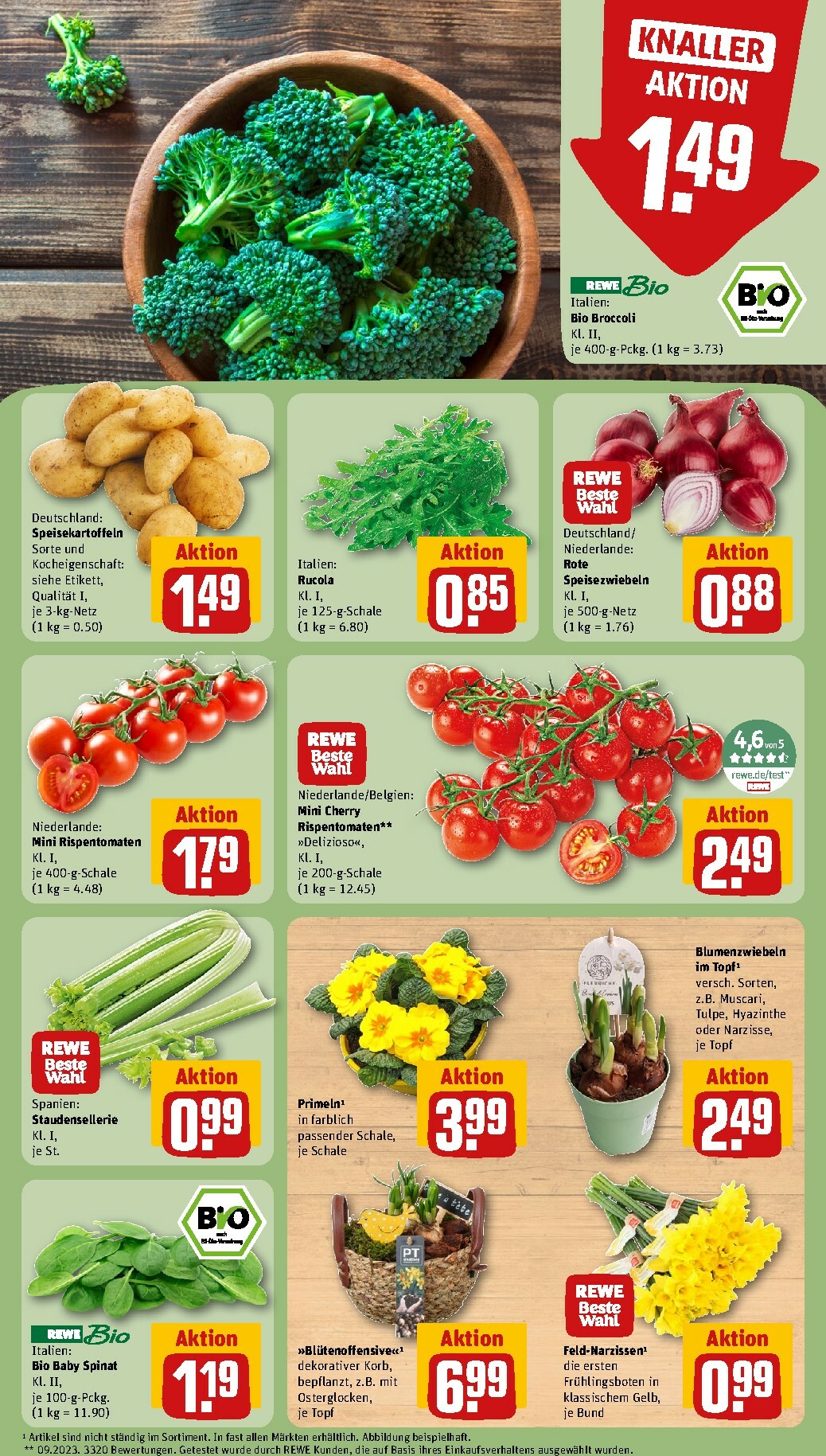 rewe - Rewe-Prospekt gültig vom 26.01. bis 01.02. - page: 7