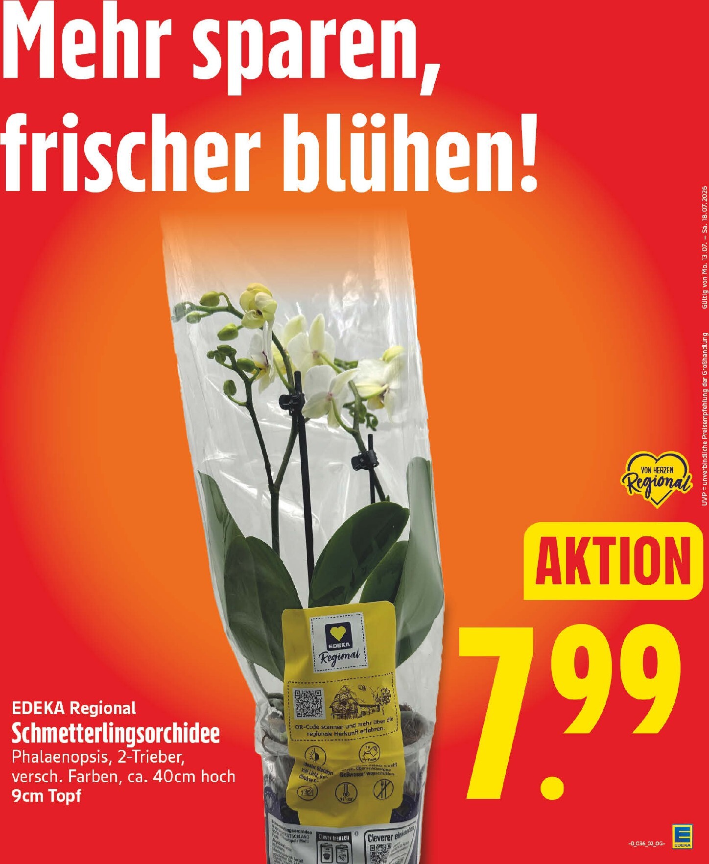 edeka - Edeka Prospekt nächste Woche – von Montag 31.08.2026 bis Samstag 05.09.2026 - page: 5