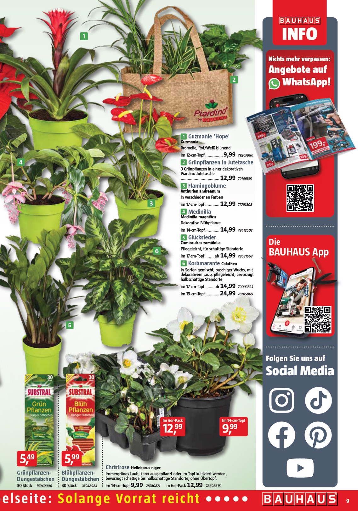 bauhaus - BAUHAUS-Prospekt gültig vom 01.11. bis 29.11. - page: 9