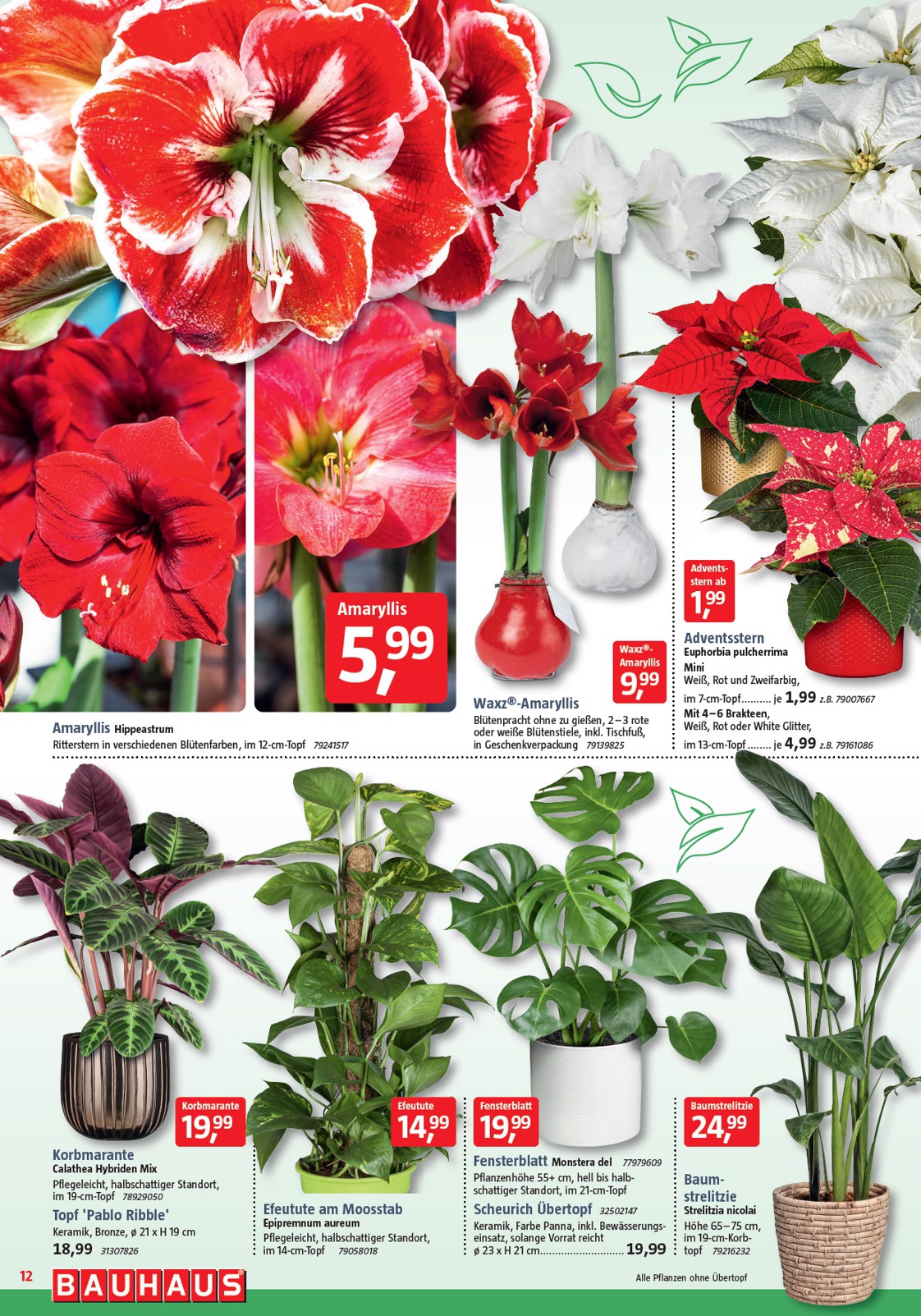 bauhaus - BAUHAUS-Prospekt gültig vom 29.11. bis 03.01. - page: 12