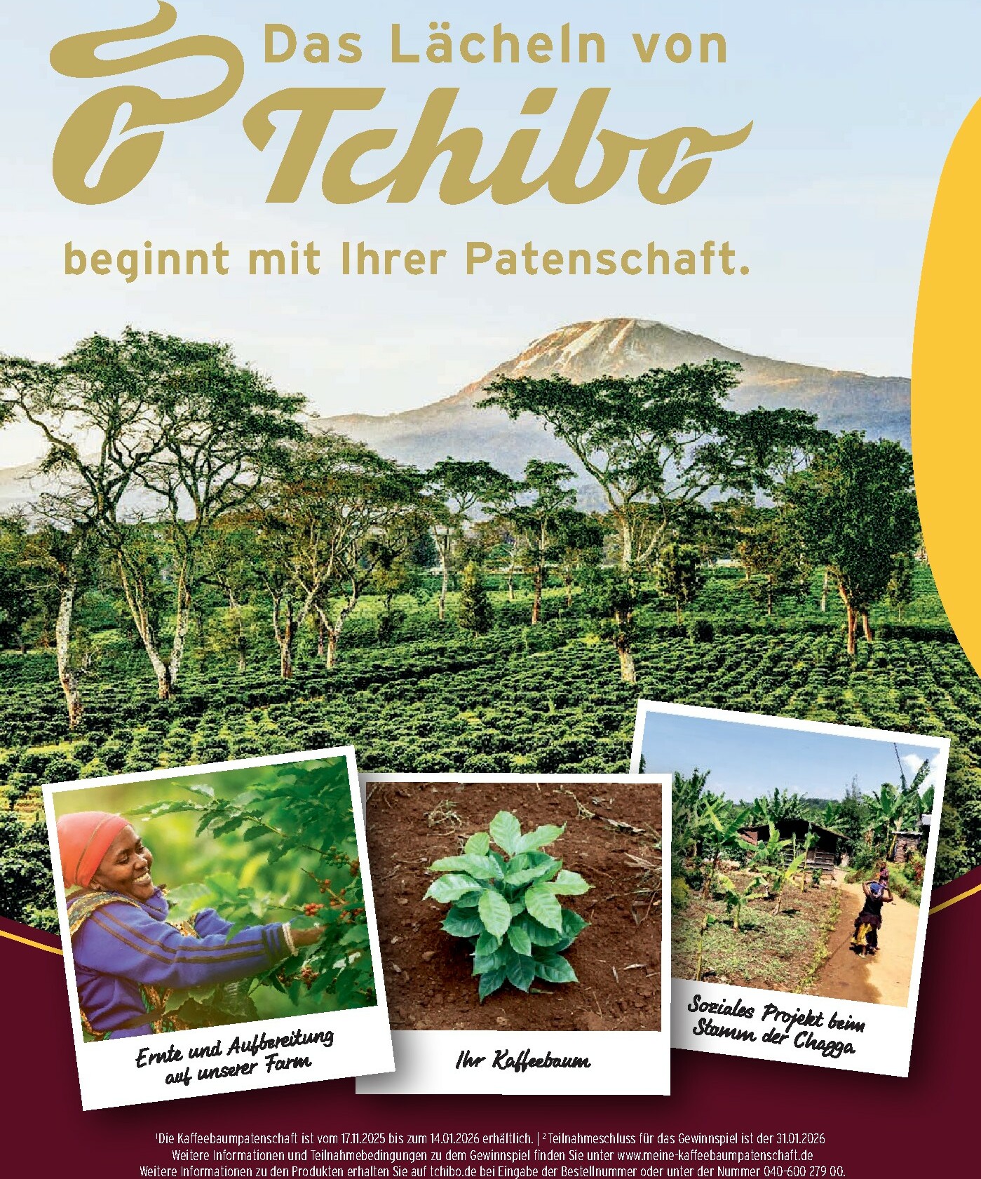 tchibo - Tchibo - Katalog Back to gym-Prospekt gültig vom 01.01. bis 31.01. - page: 158