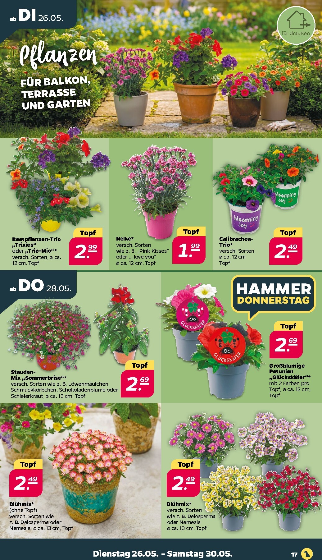 netto - Netto Prospekt nächste Woche – von Dienstag 26.05.2026 bis Samstag 30.05.2026 - page: 19
