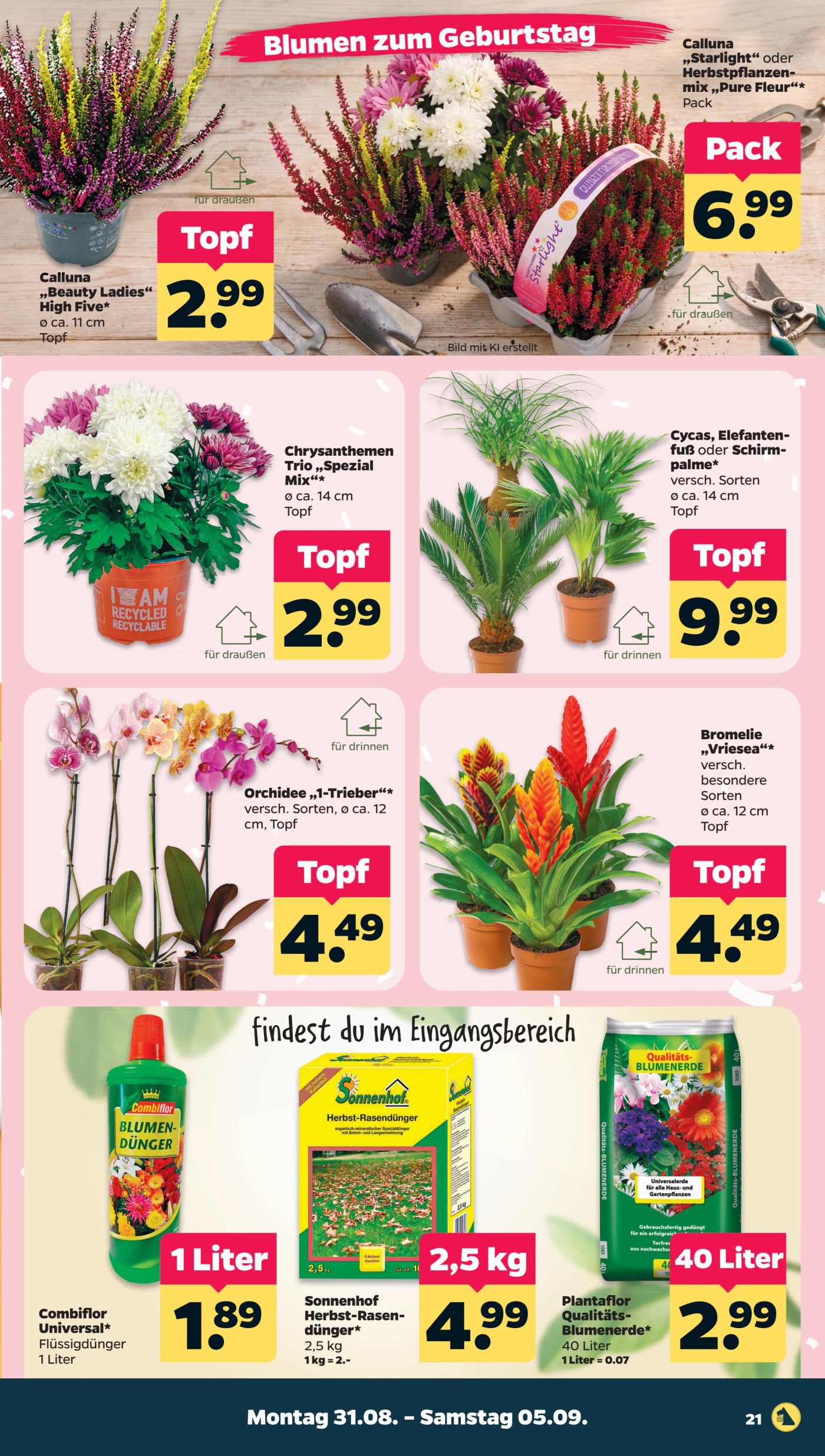 netto - Netto Prospekt nächste Woche – von Montag 31.08.2026 bis Samstag 05.09.2026 - page: 23