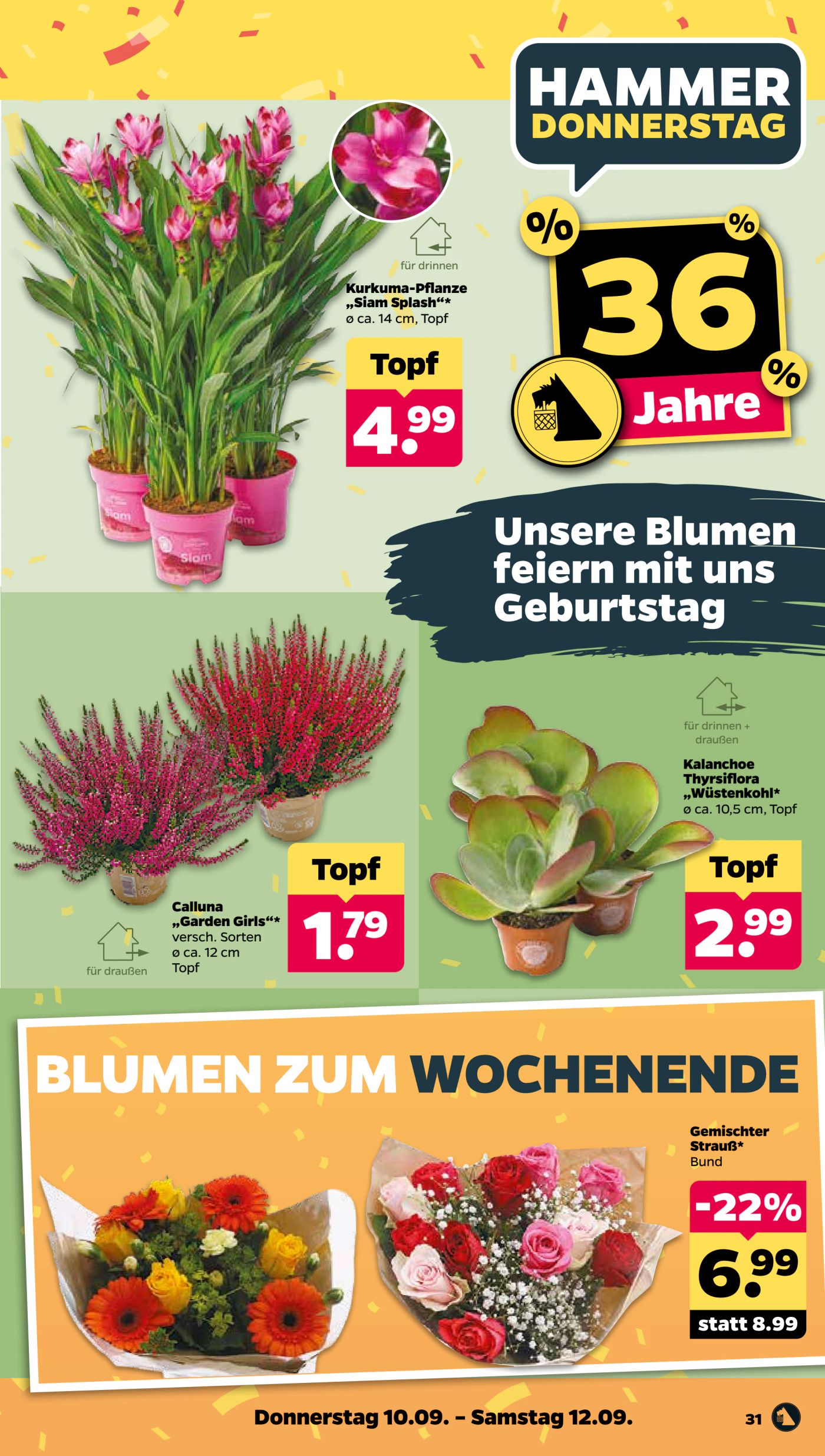 netto - Netto Prospekt nächste Woche – von Montag 07.09.2026 bis Samstag 12.09.2026 - page: 35