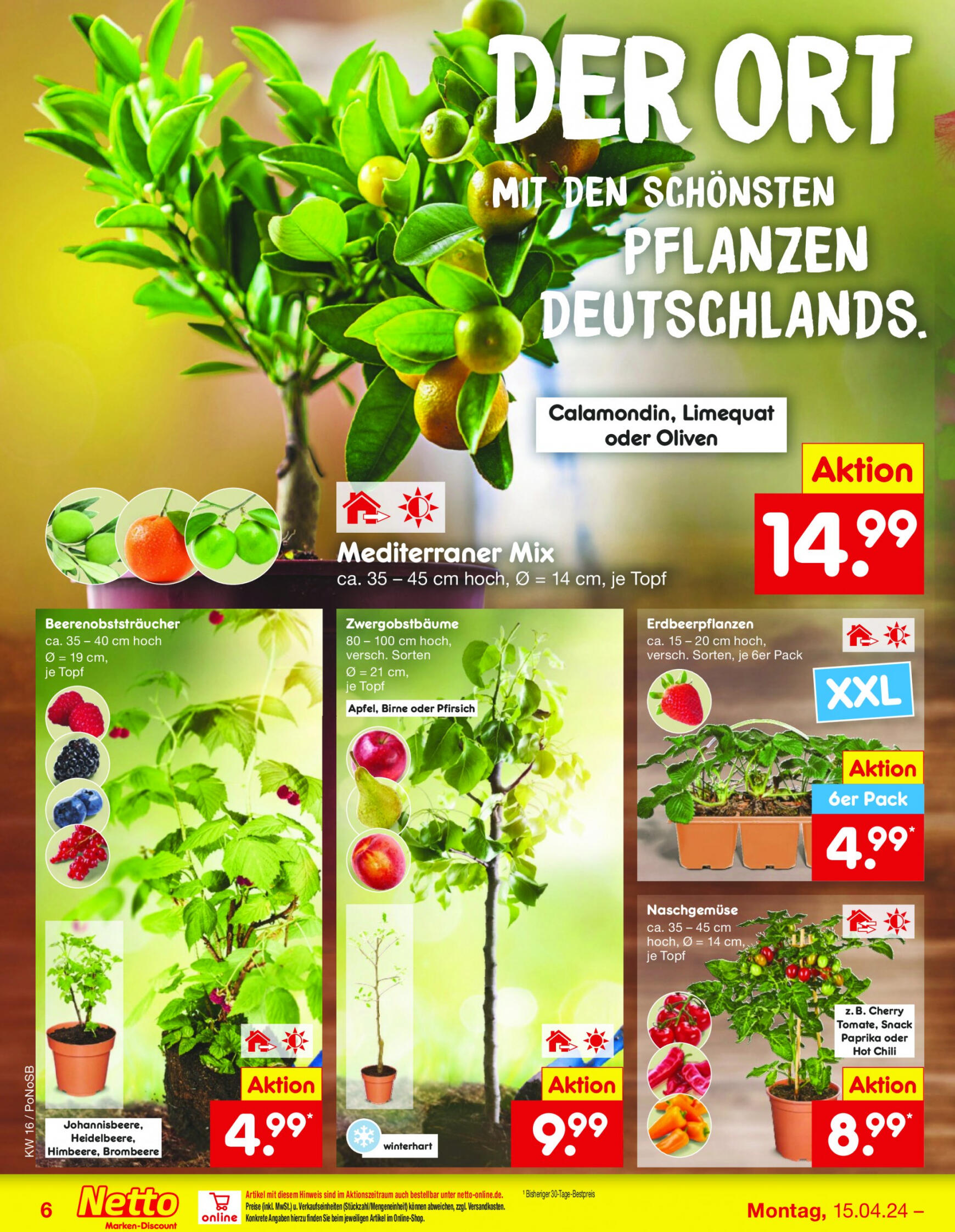 netto - Flyer Netto aktuell 15.04. - 20.04. - page: 6