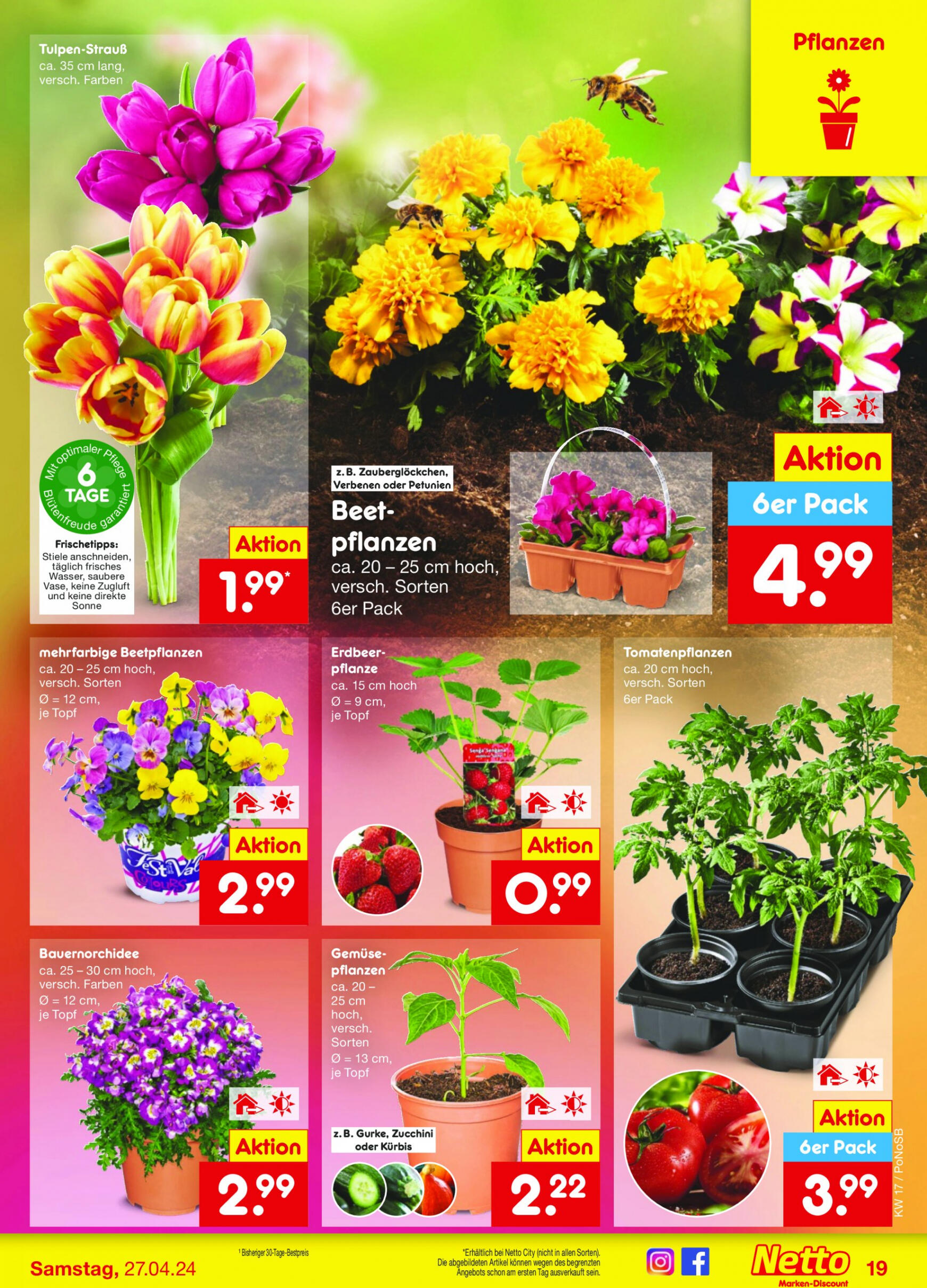netto - Flyer Netto aktuell 22.04. - 27.04. - page: 21