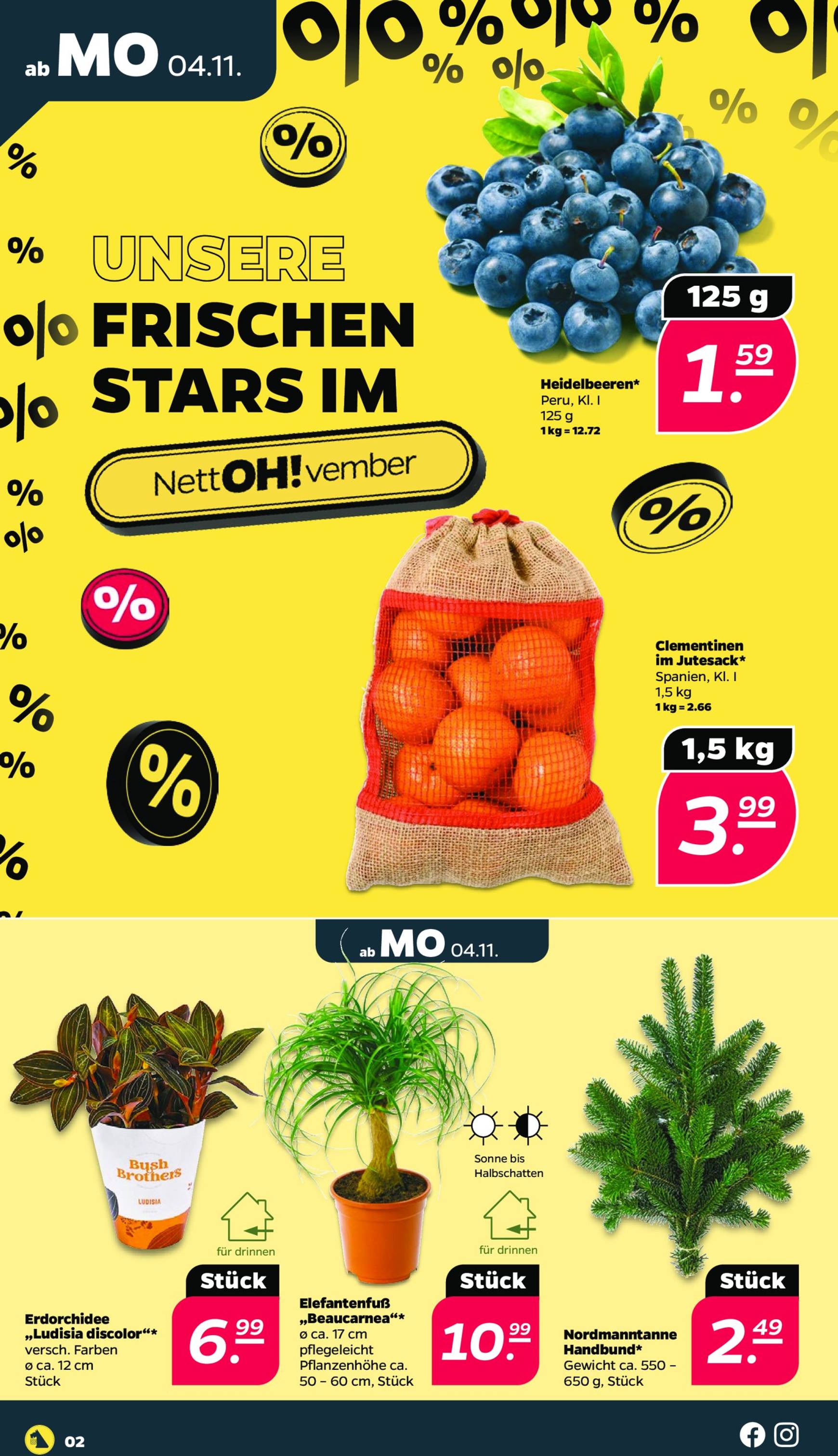 netto - Netto-Prospekt gültig von 04.11. bis 09.11. - page: 2