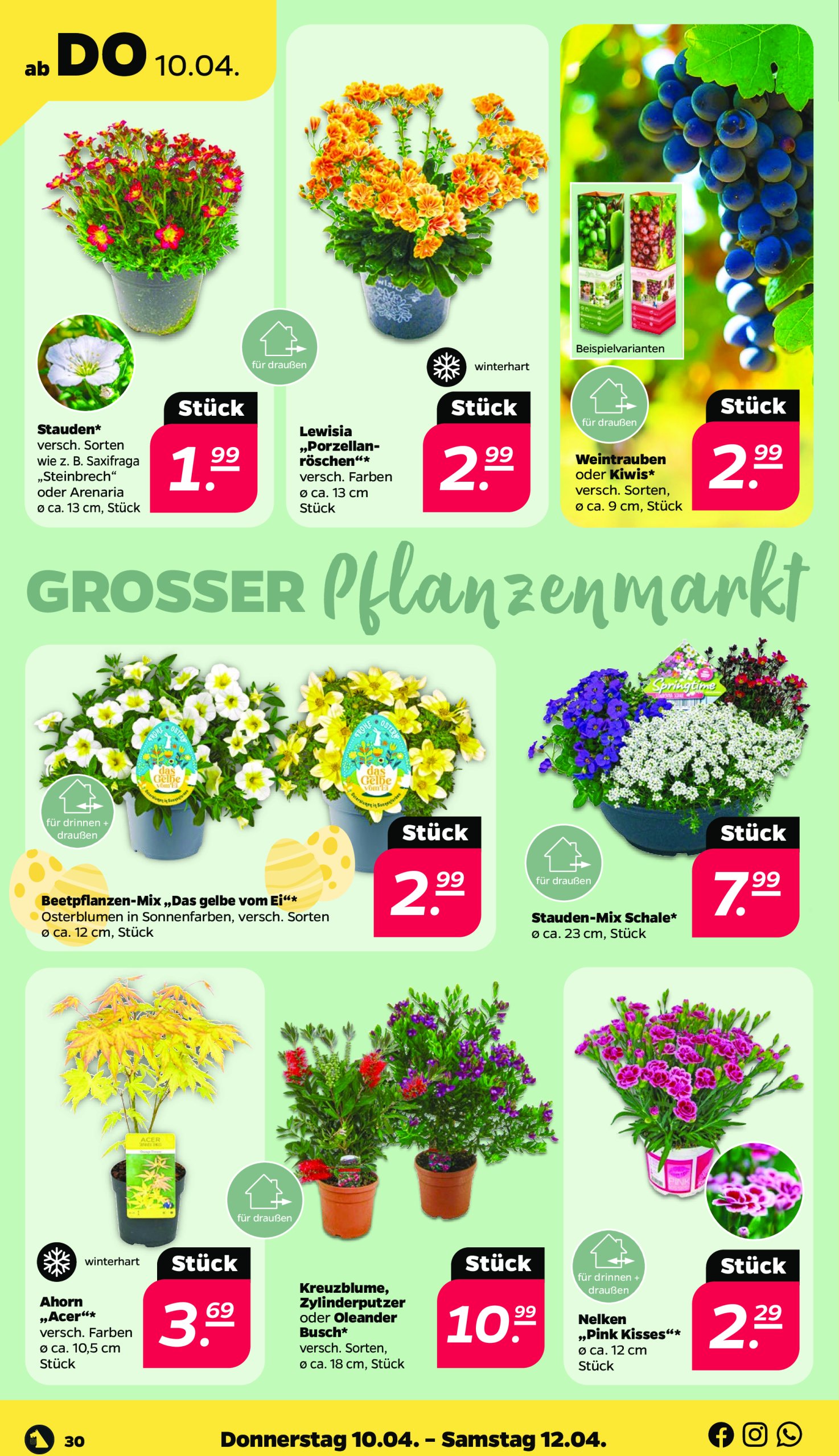 netto - Netto-Prospekt gültig von 07.04. bis 12.04. - page: 30 netto - Netto-Prospekt gültig von 07.04. bis 12.04. - page: 30