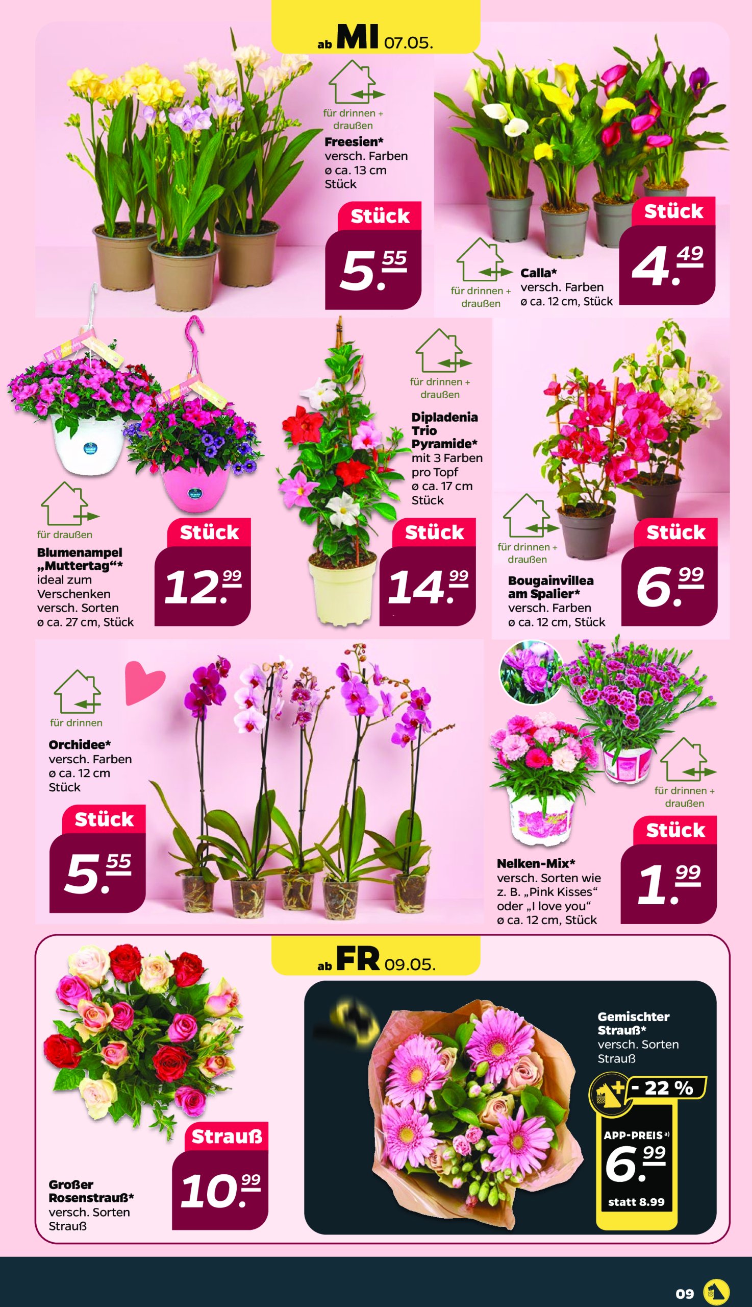 netto - Netto-Prospekt gültig von 05.05. bis 10.05. - page: 9 netto - Netto-Prospekt gültig von 05.05. bis 10.05. - page: 9