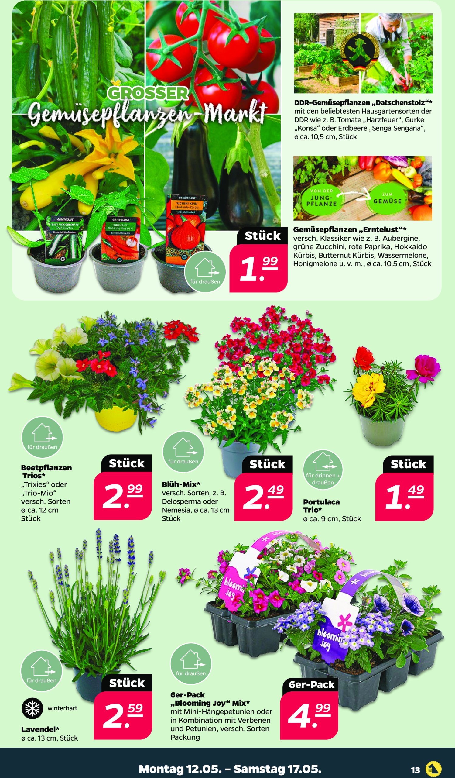 netto - Netto-Prospekt gültig von 12.05. bis 17.05. - page: 13