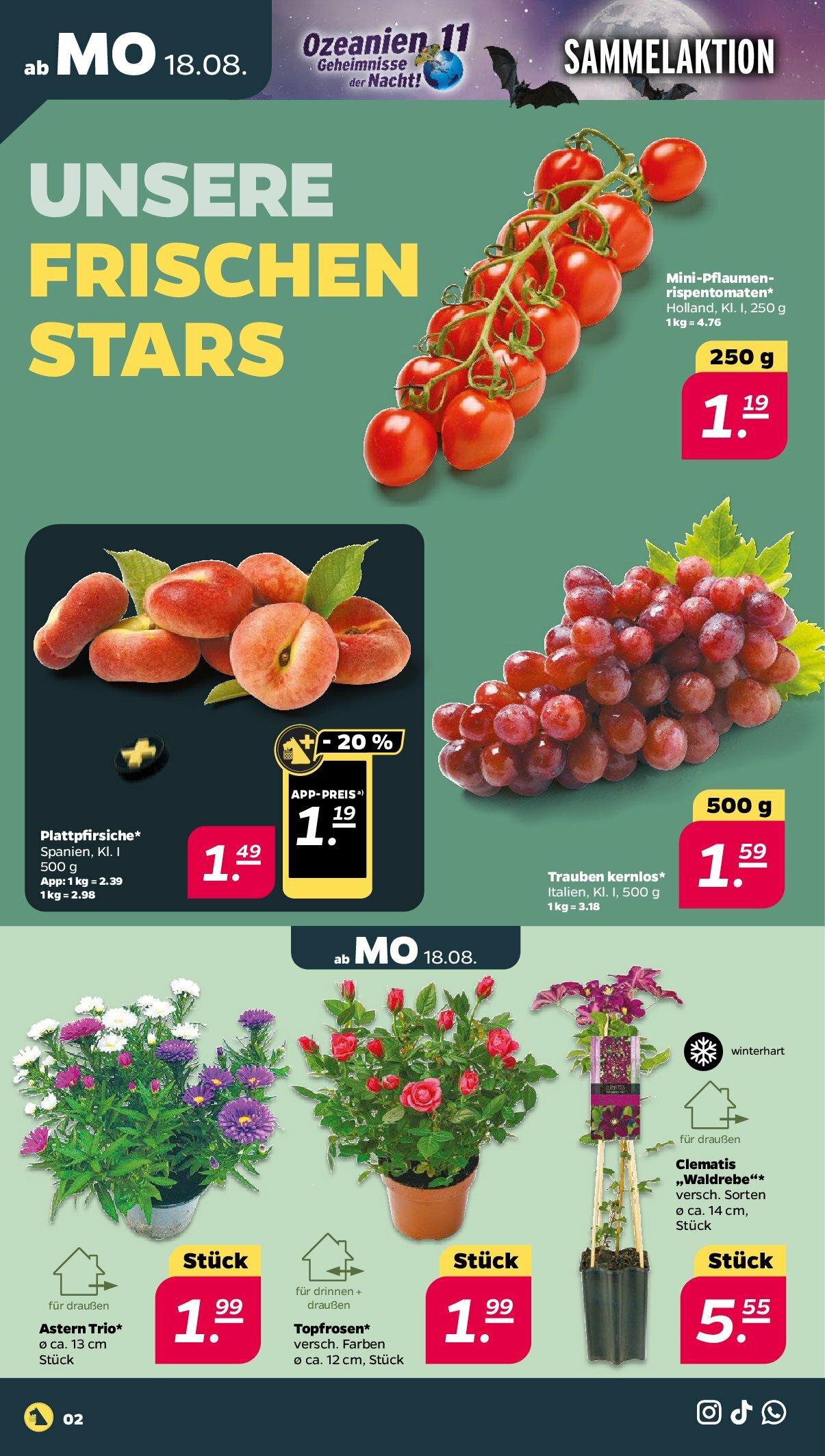 netto - Netto-Prospekt gültig vom 18.08. bis 23.08. - page: 2