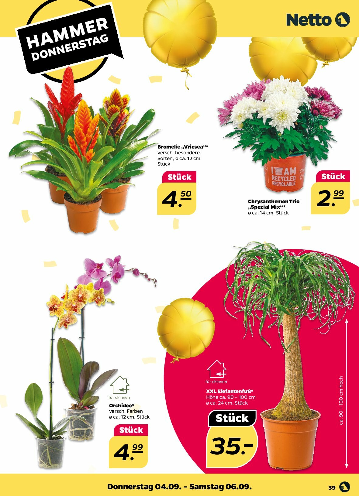netto - Netto-Prospekt gültig vom 01.09. bis 06.09. - page: 39