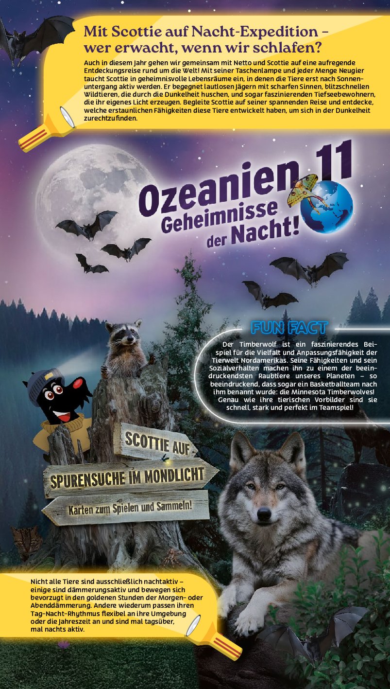 netto - Netto-Prospekt gültig vom 08.09. bis 13.09. - page: 44