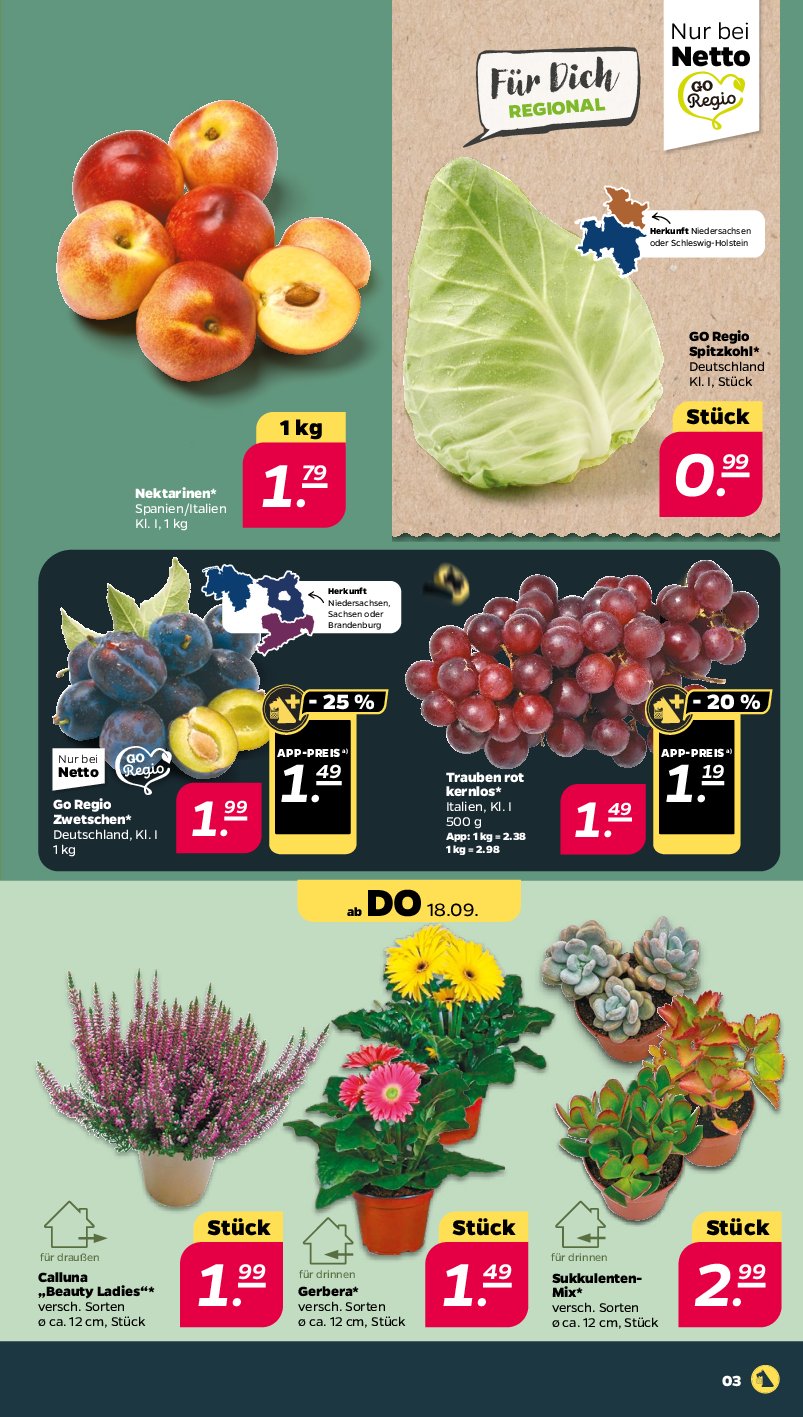 netto - Netto-Prospekt gültig vom 15.09. bis 20.09. - page: 3