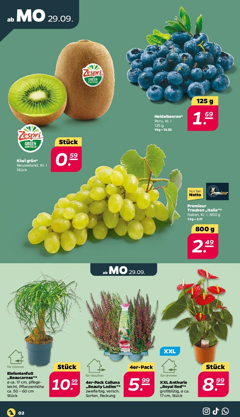netto - Netto-Prospekt gültig vom 29.09. bis 04.10. - page: 2