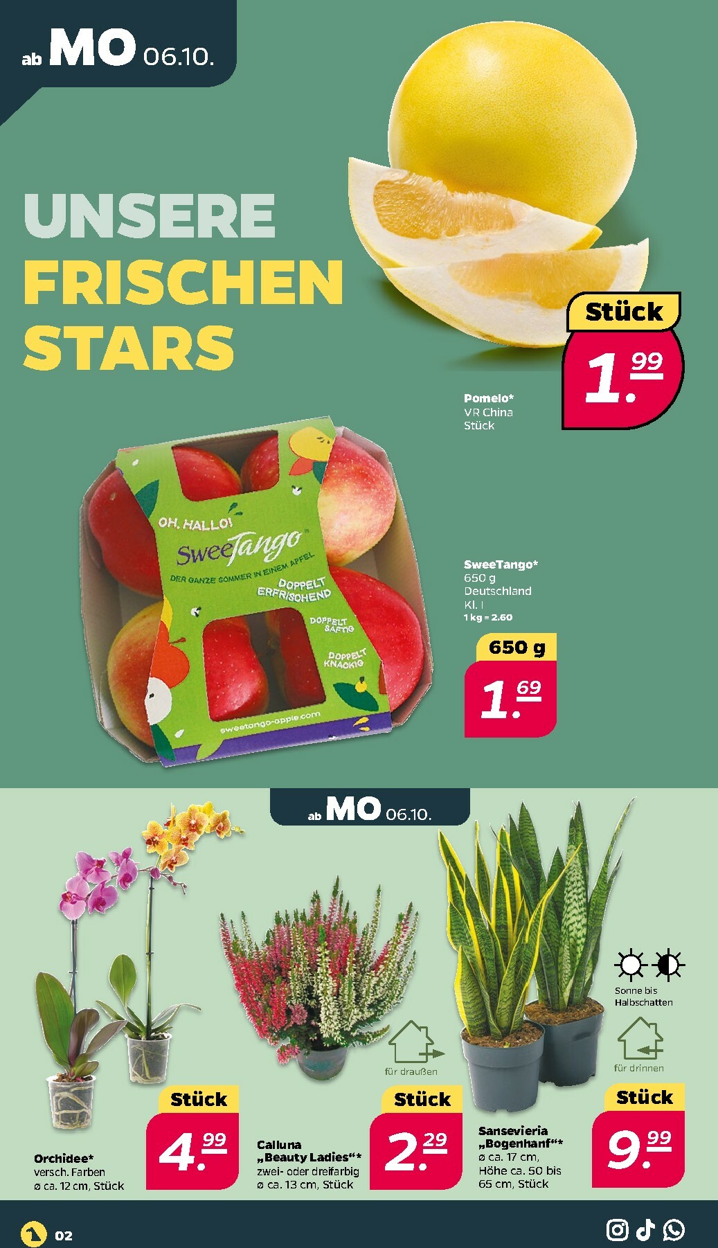 netto - Netto-Prospekt gültig vom 06.10. bis 11.10. - page: 2